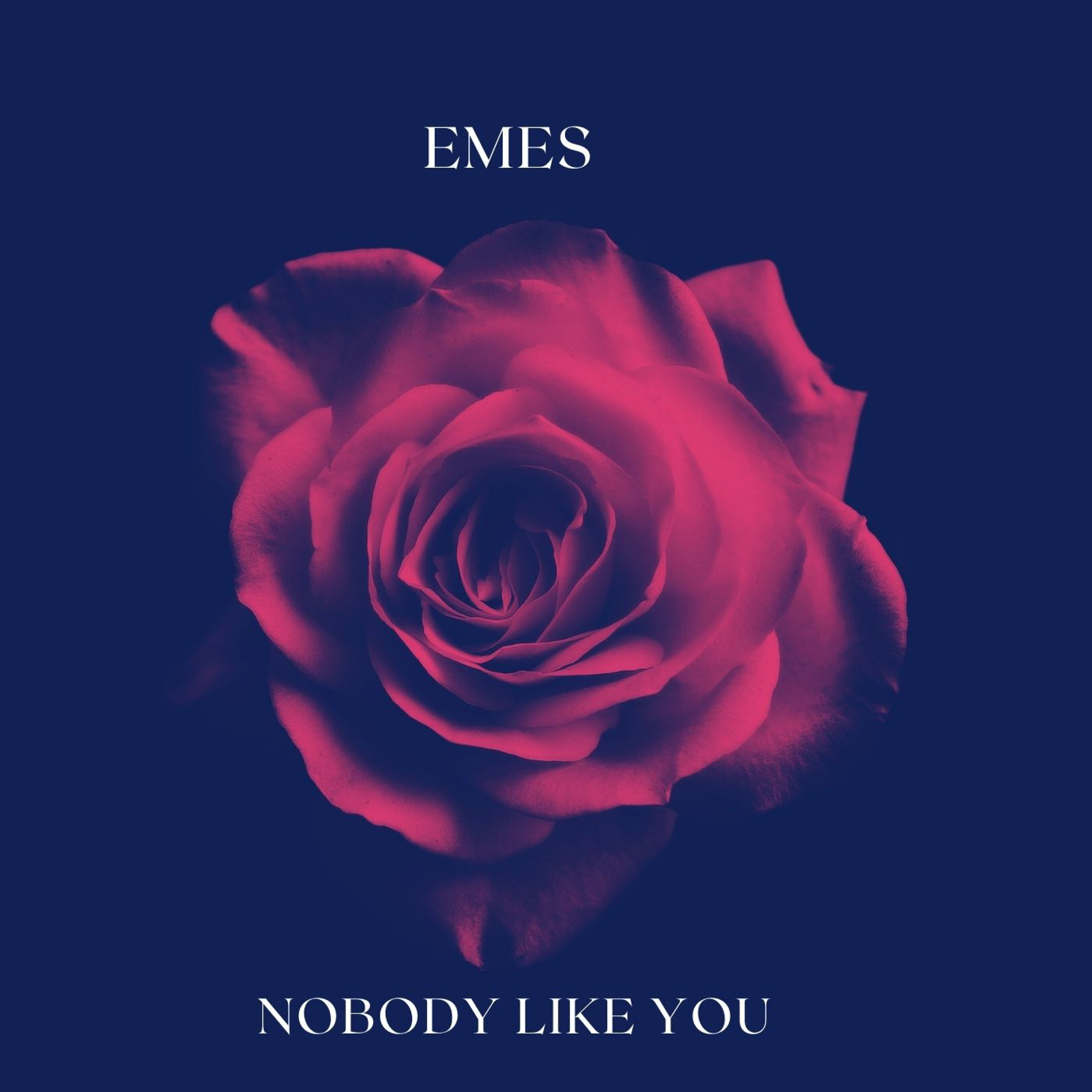 Nobody Like You artwork