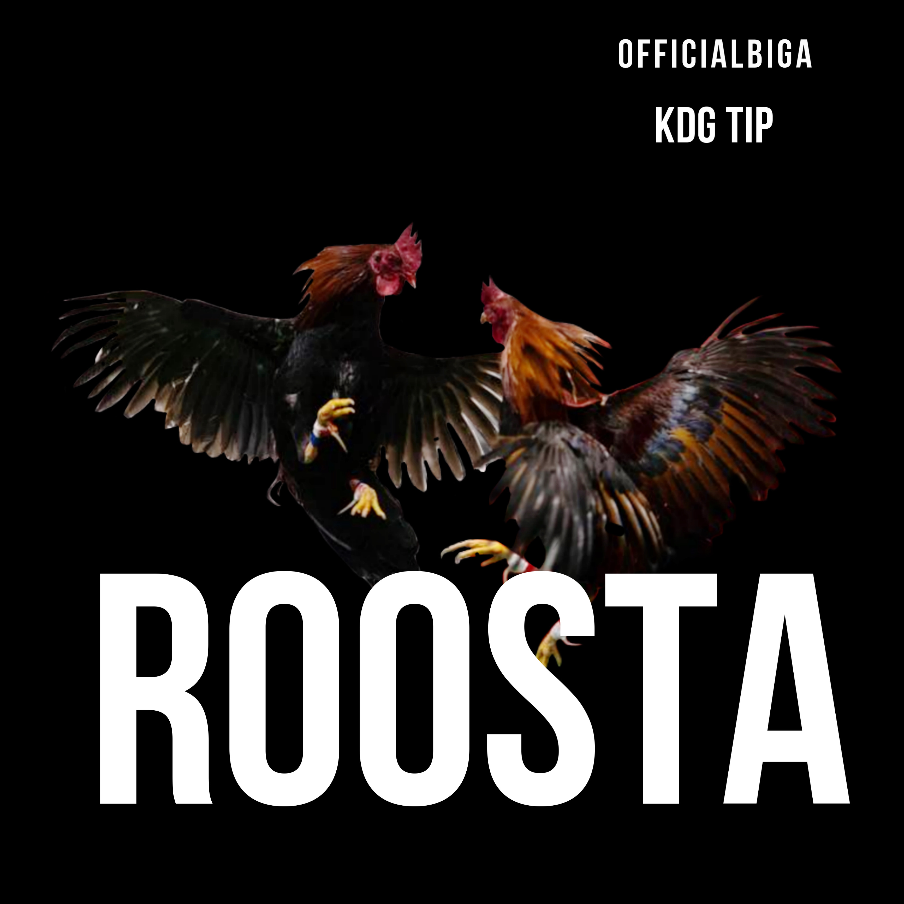 Roosta artwork