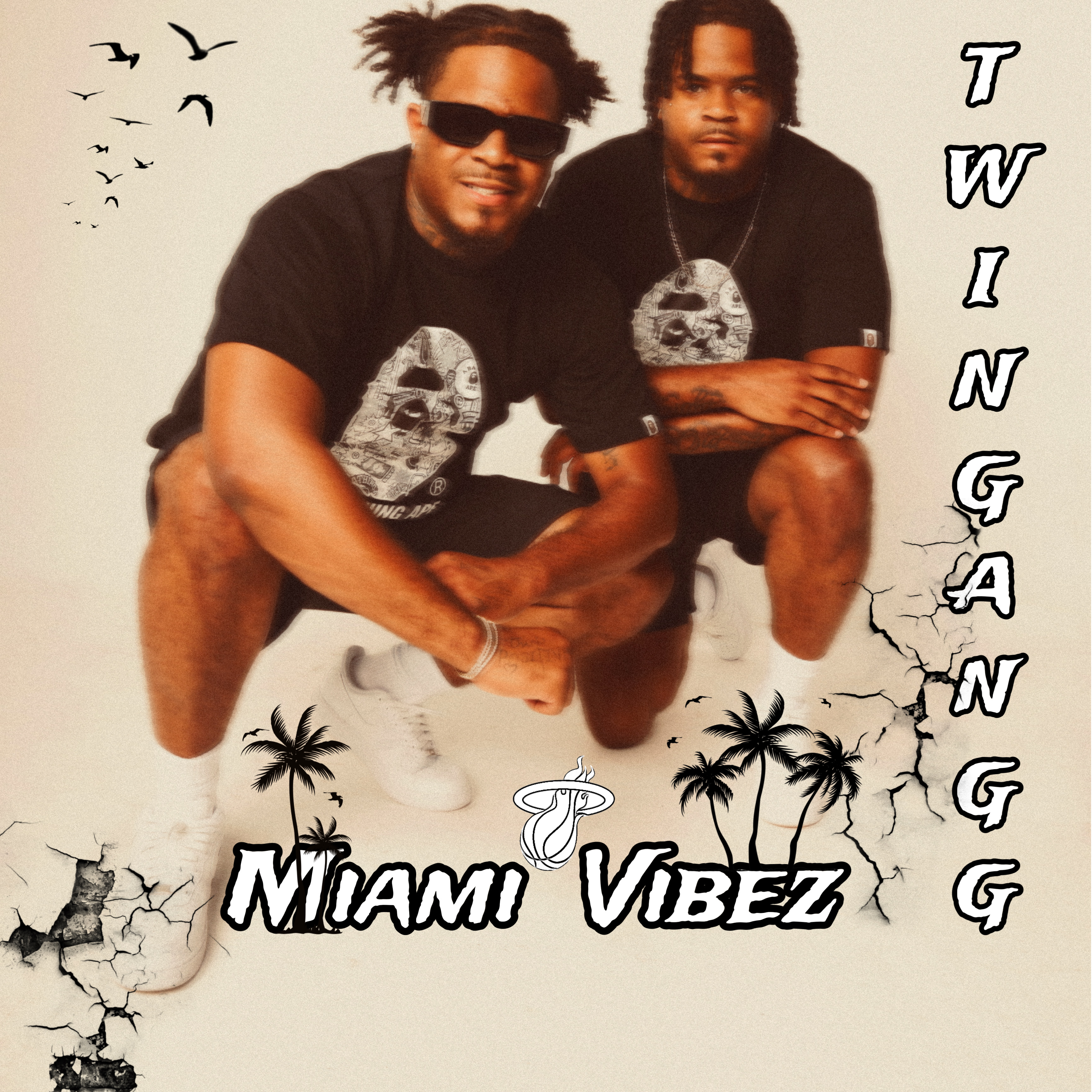Miami Vibez artwork