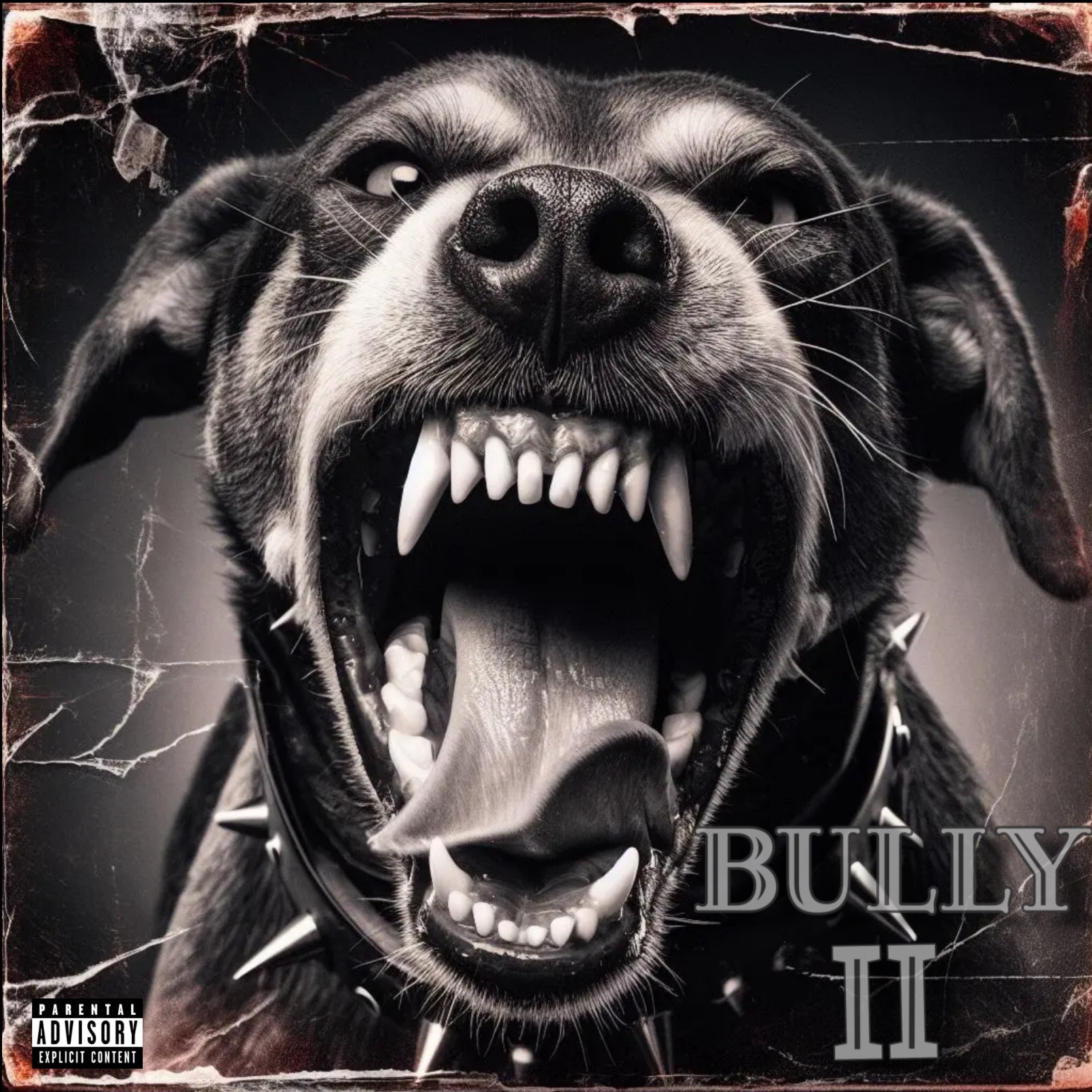 Bully II artwork