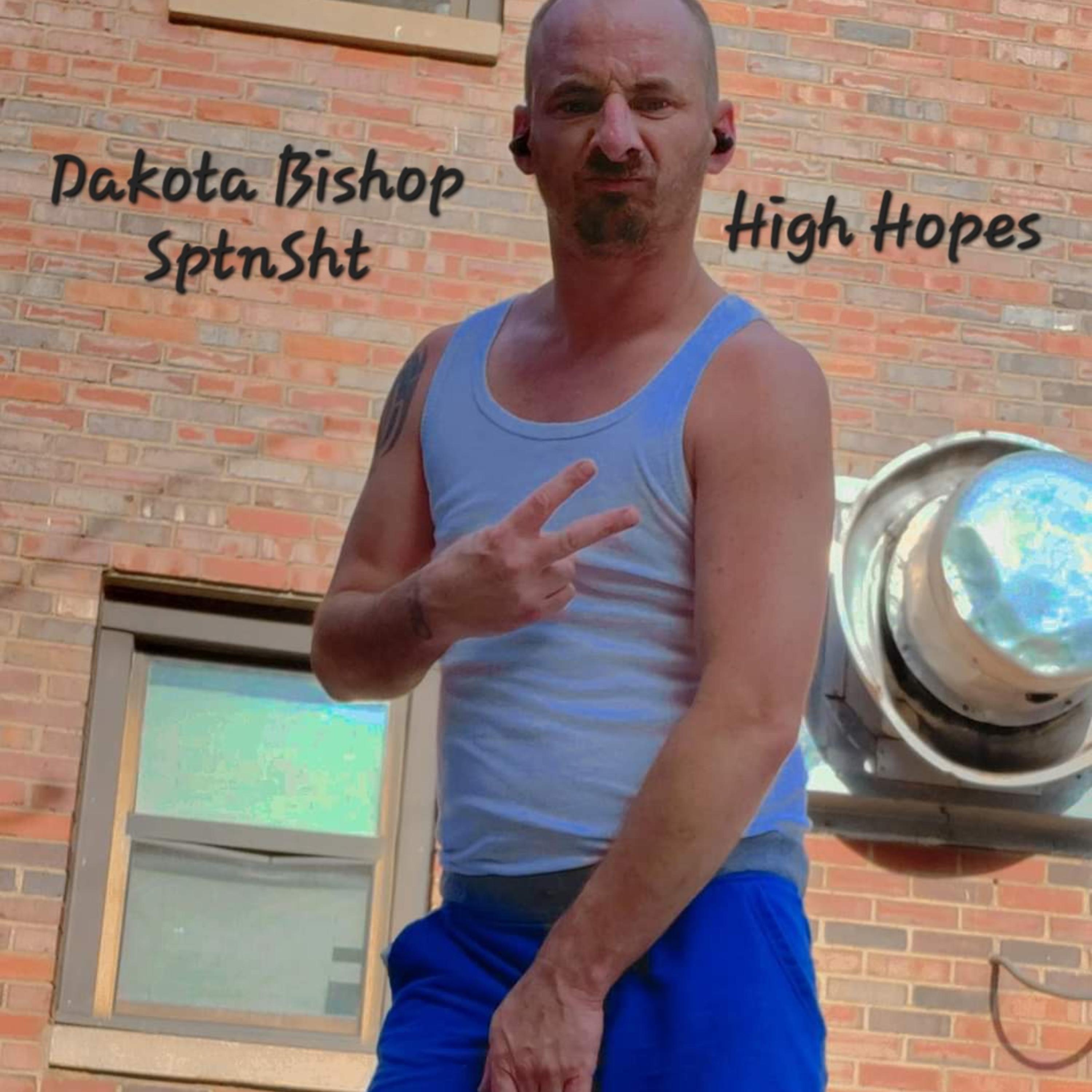 High Hopes by Dakota Bishop cover art