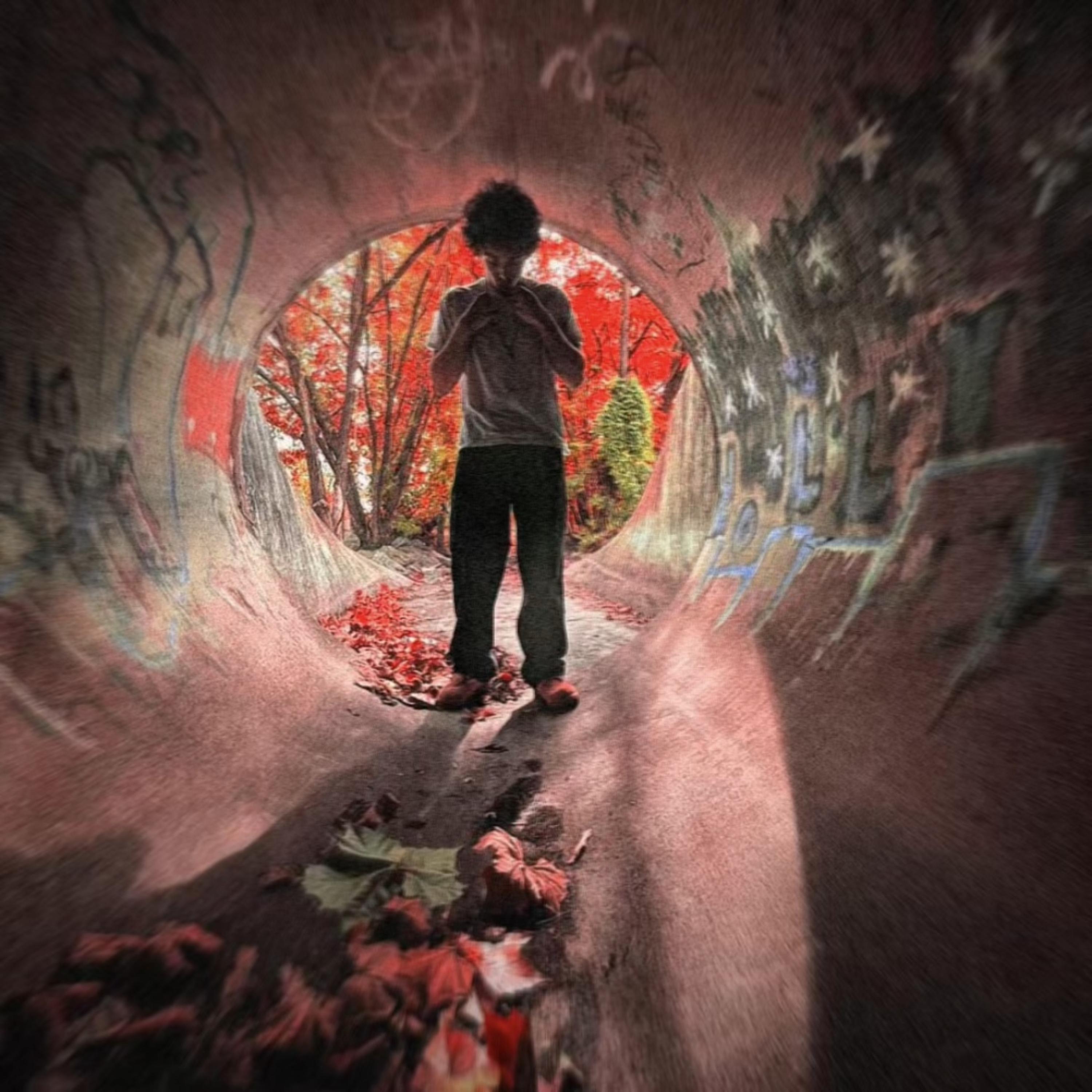 THE BEGINNING artwork