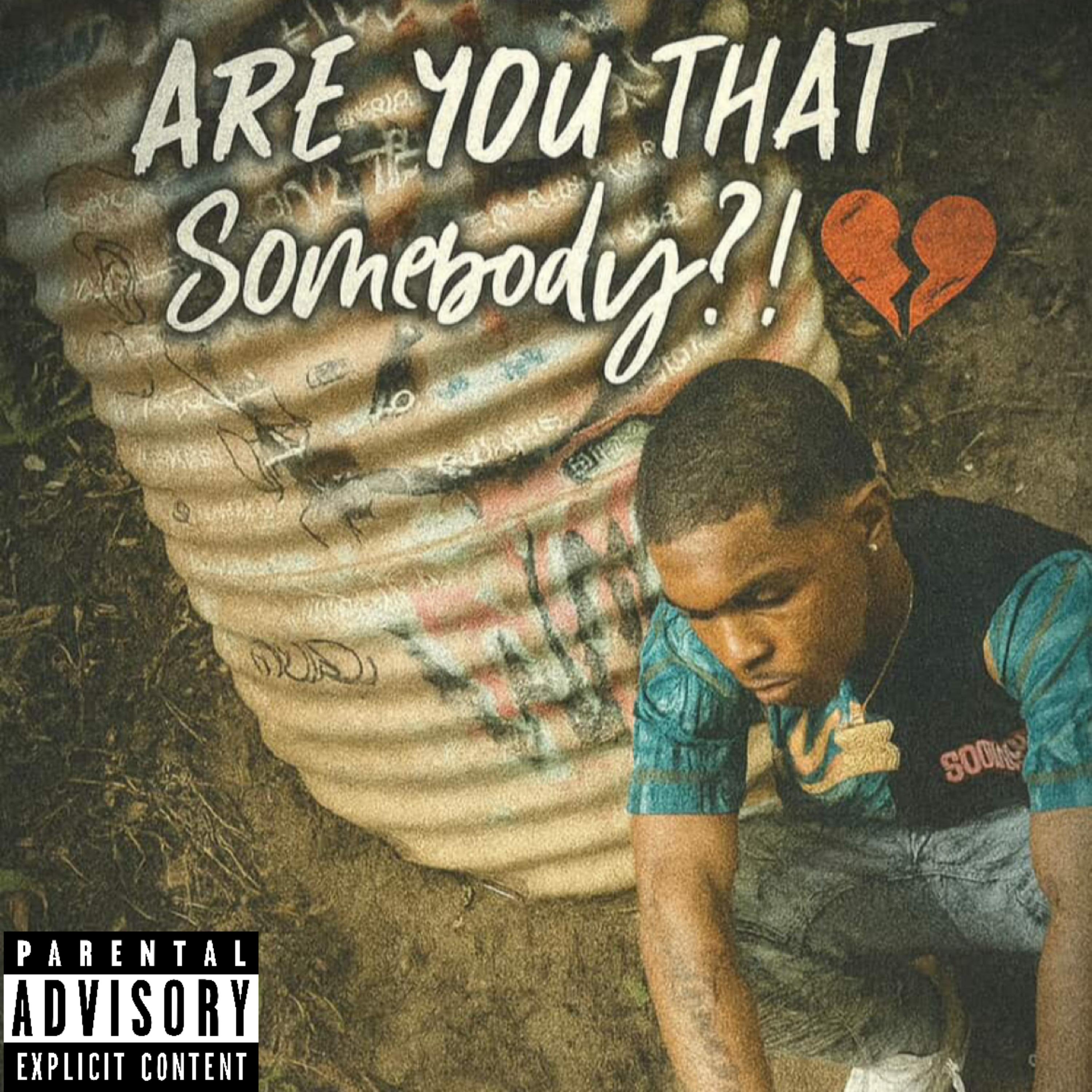 Are You That Somebody artwork