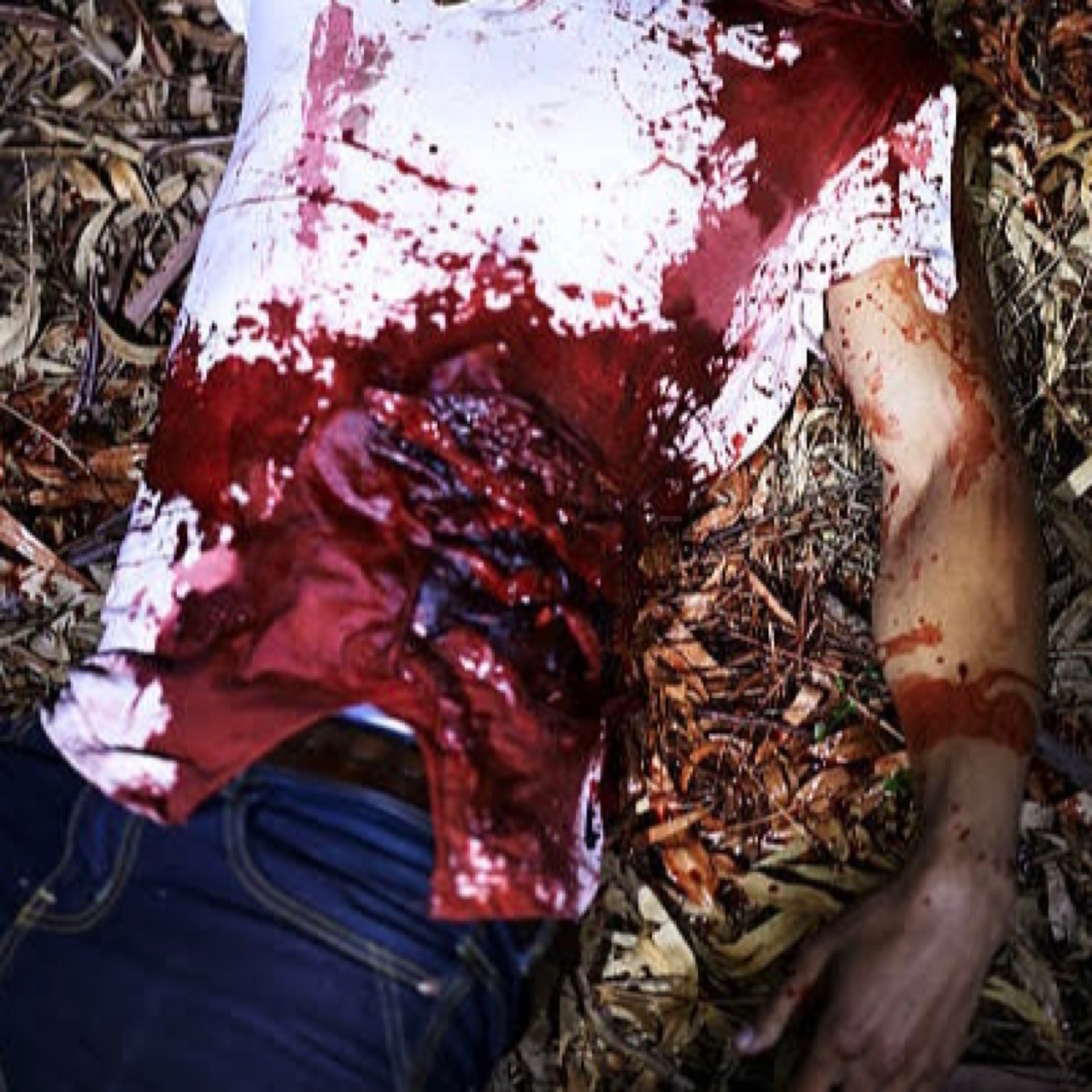 Wake Up Daddy artwork