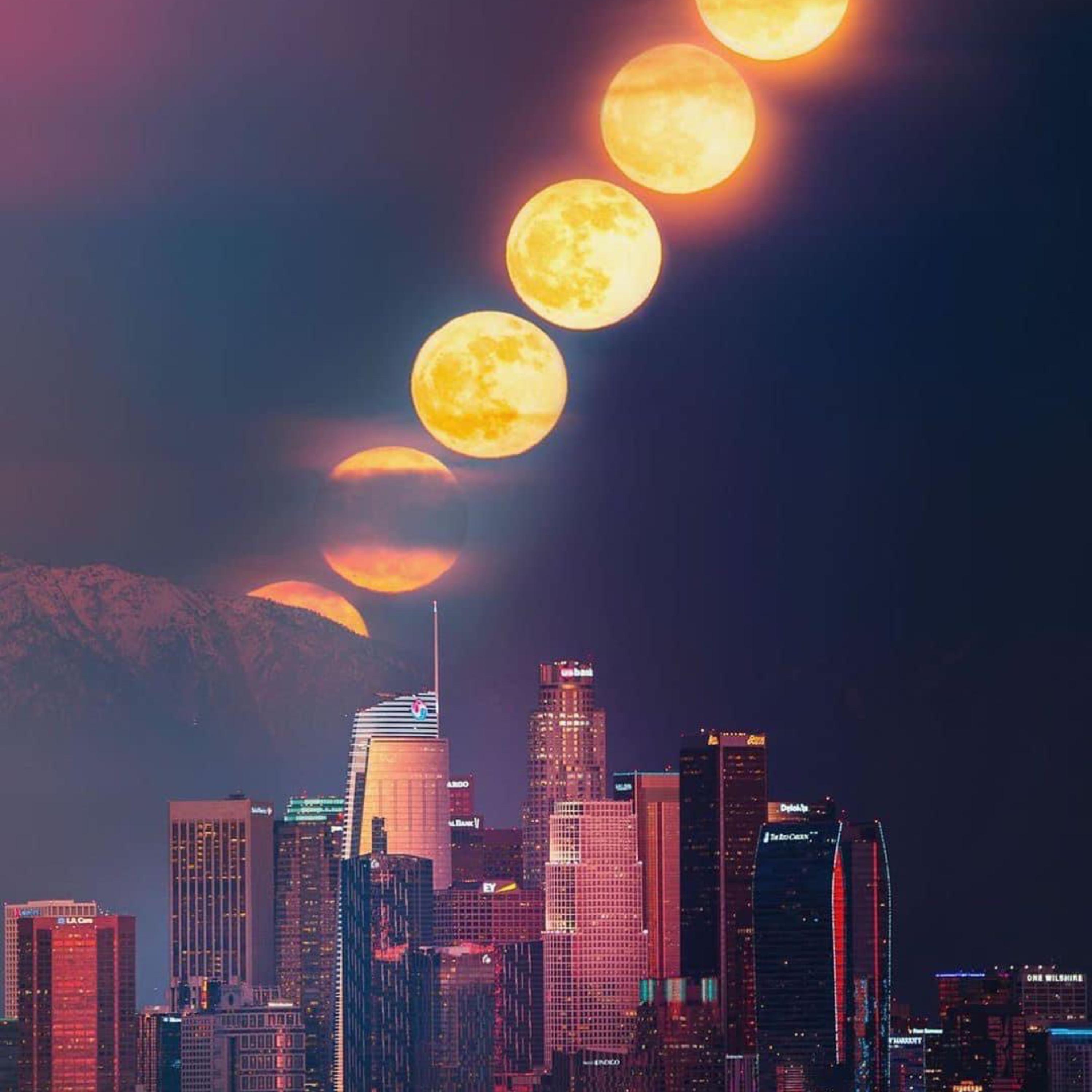 KYRANvsRASTA artwork