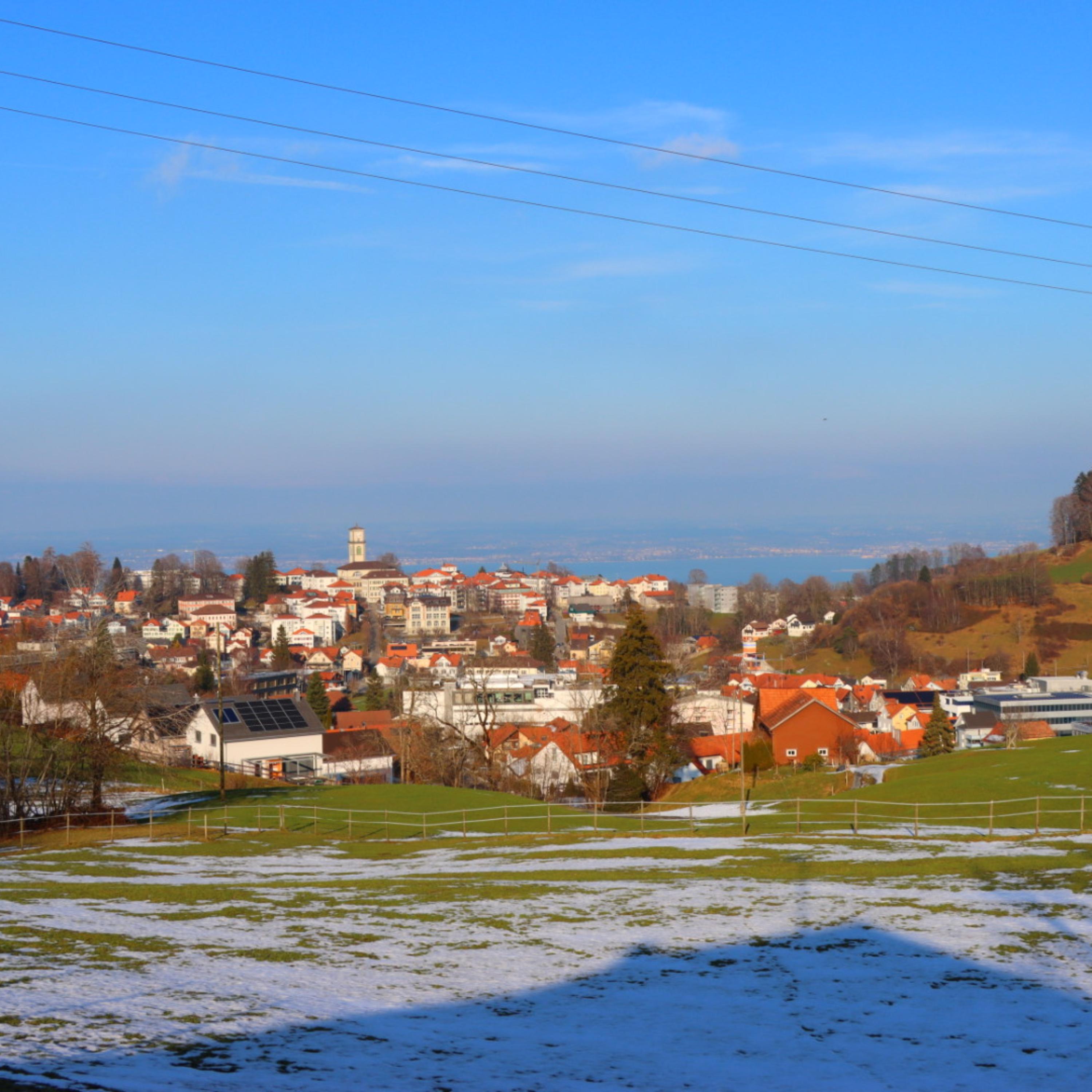 Winter geht artwork