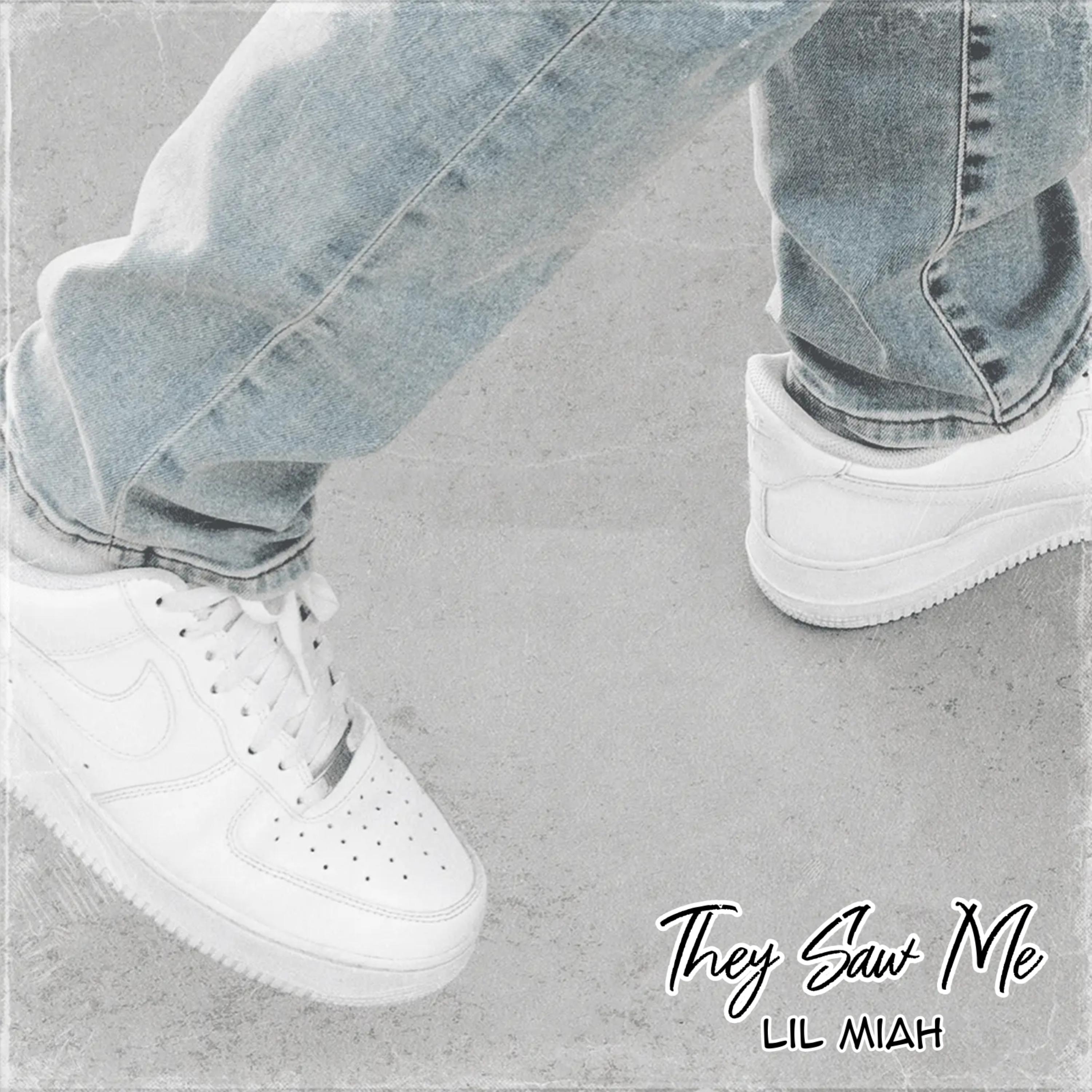 They Saw Me artwork