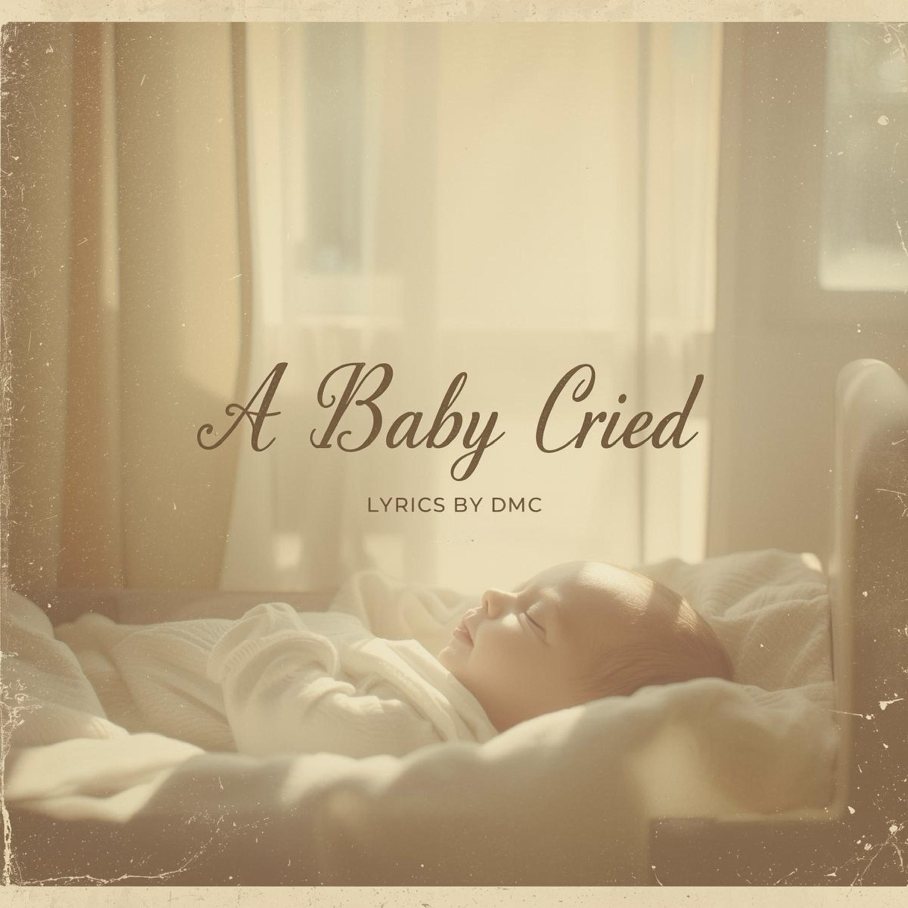 A Baby Cried artwork
