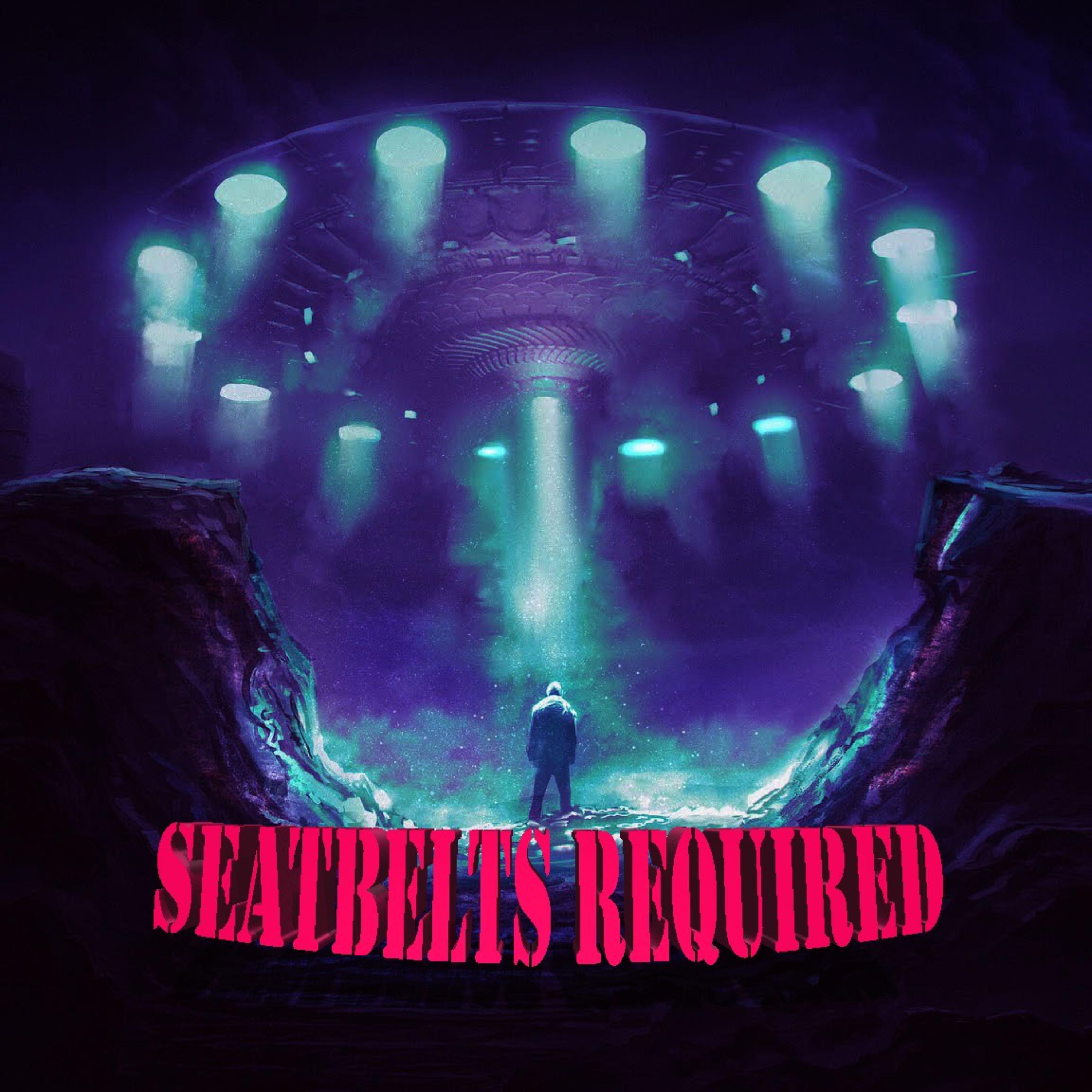 SeatBelts Required by Dankurrr.x cover art