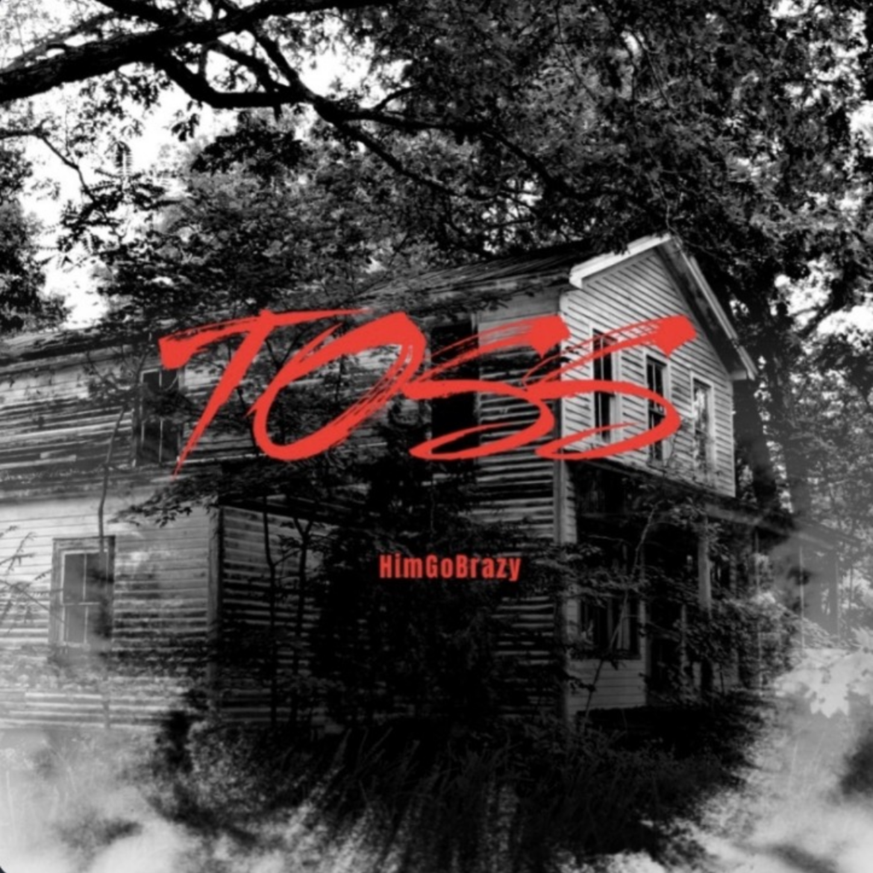 TOSS by HimGoBrazy cover art