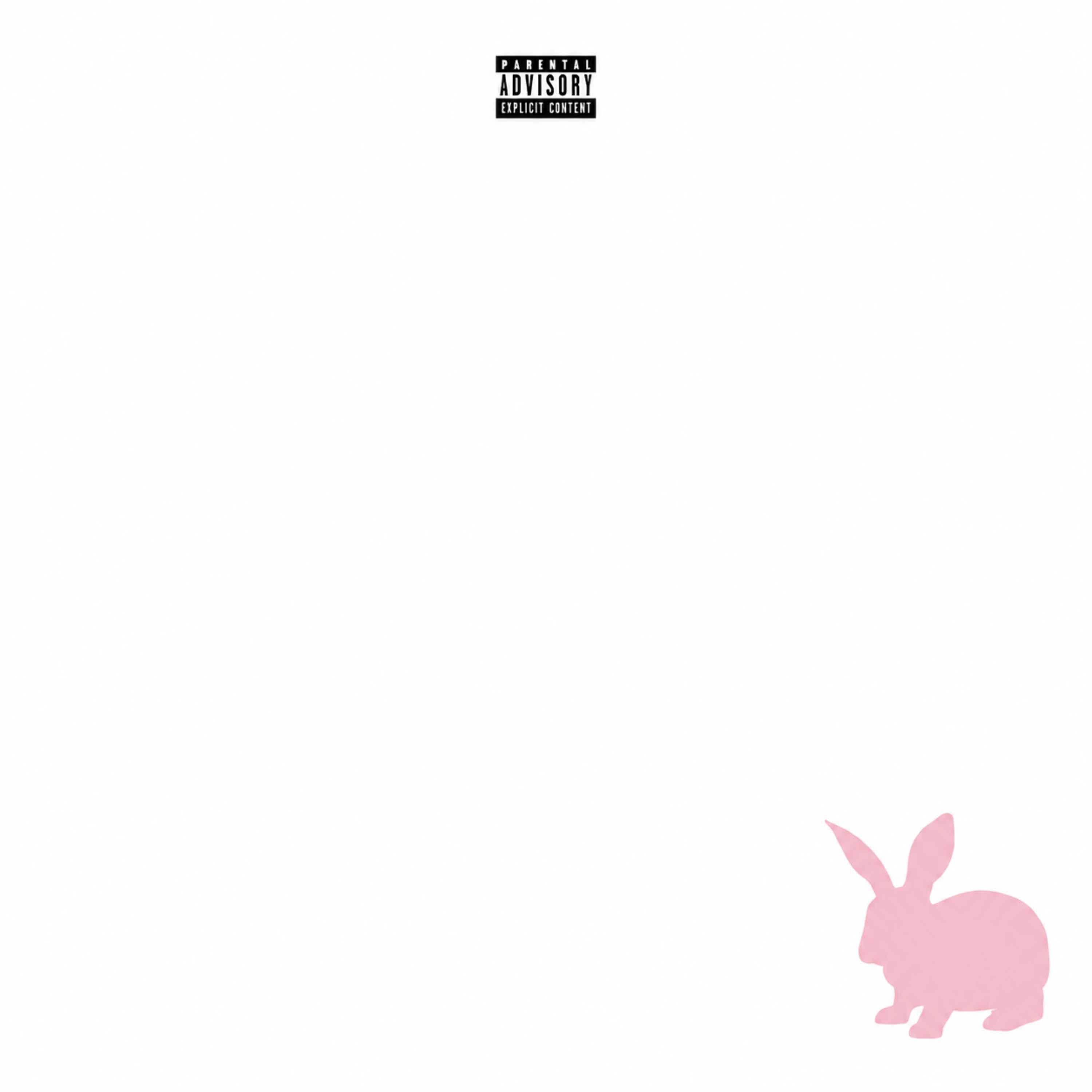 nashville bunny (Stripped) by Nobody$ cover art