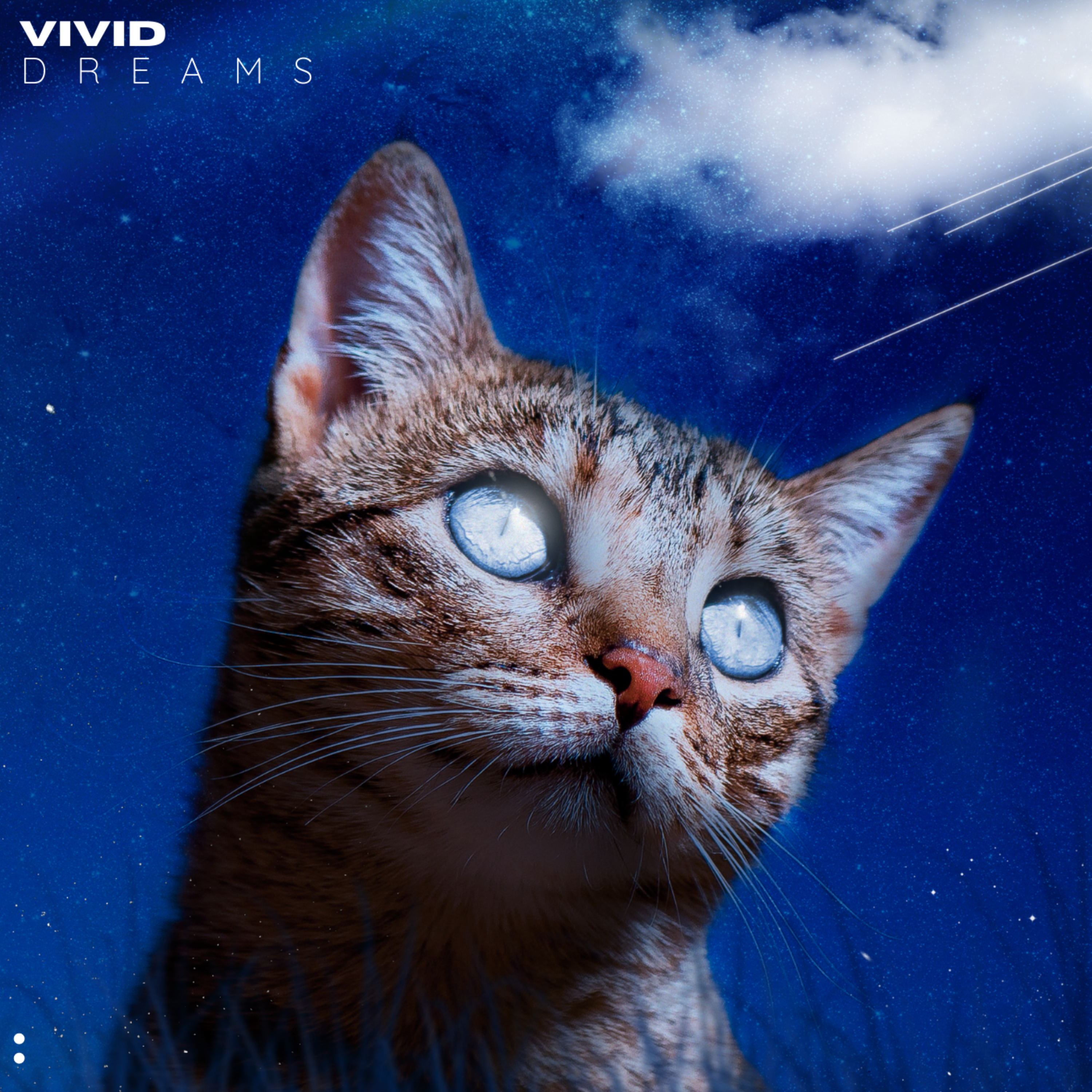 Vivid Dreams artwork