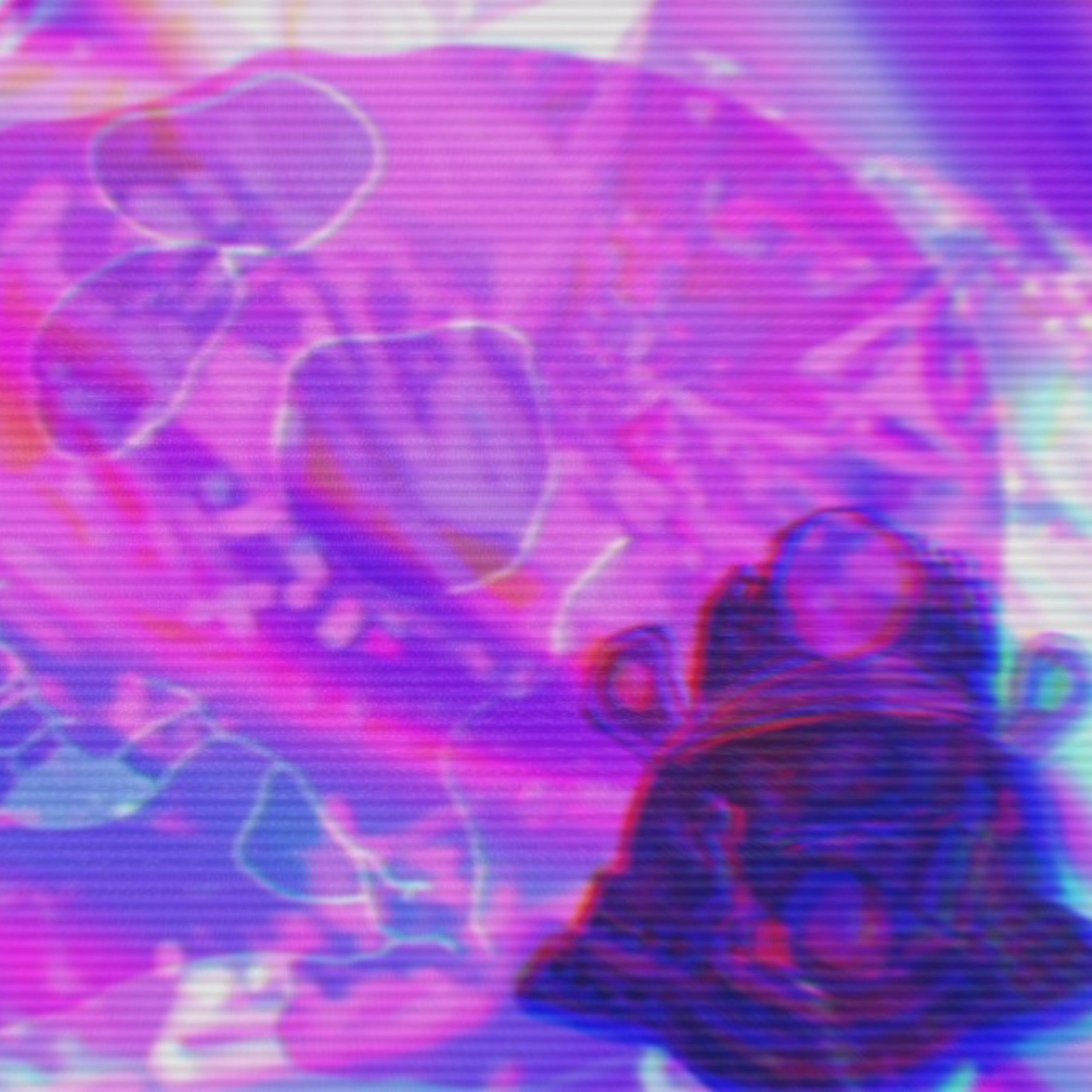 Warrior Quest artwork