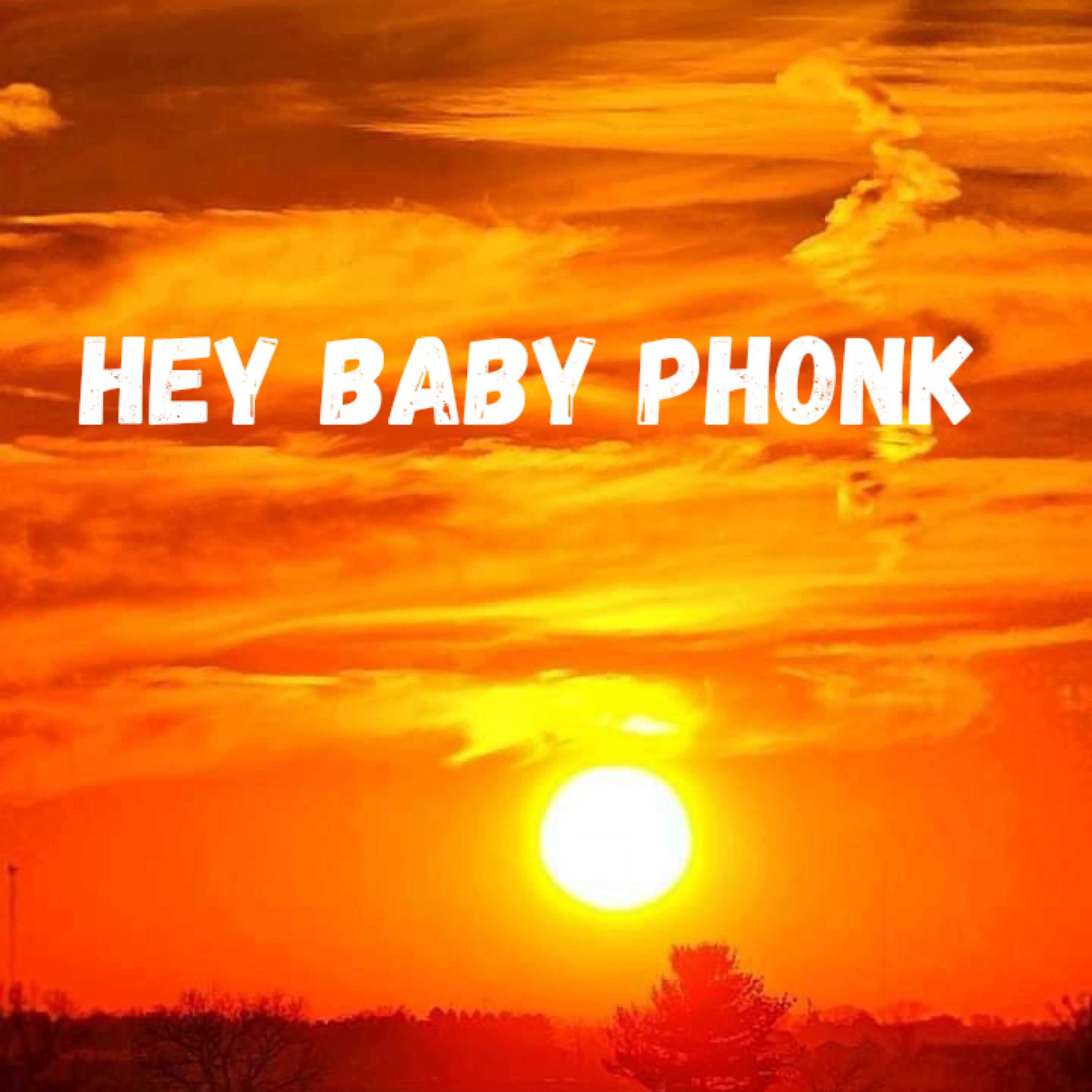 HEY BABY PHONK artwork