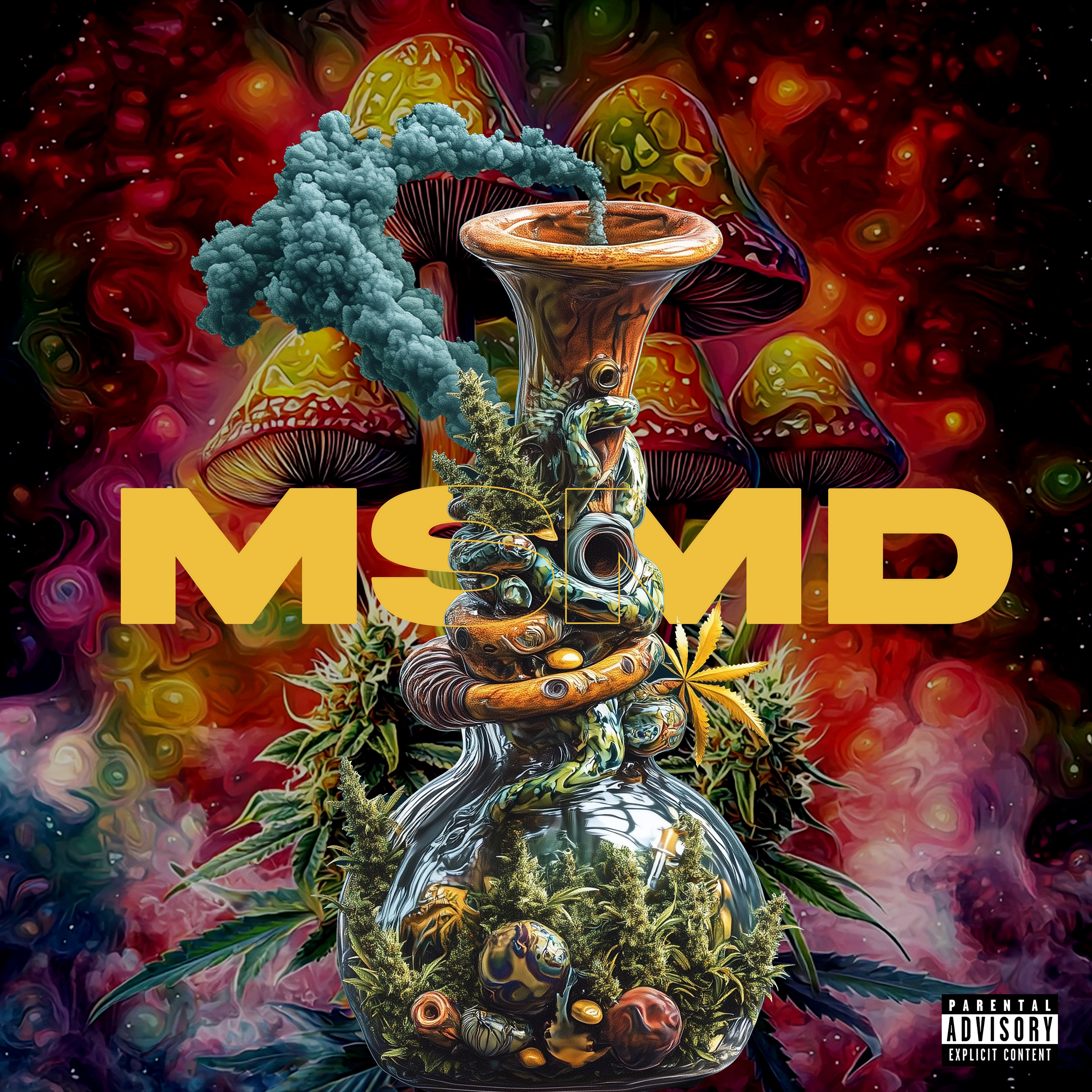 MSMD artwork
