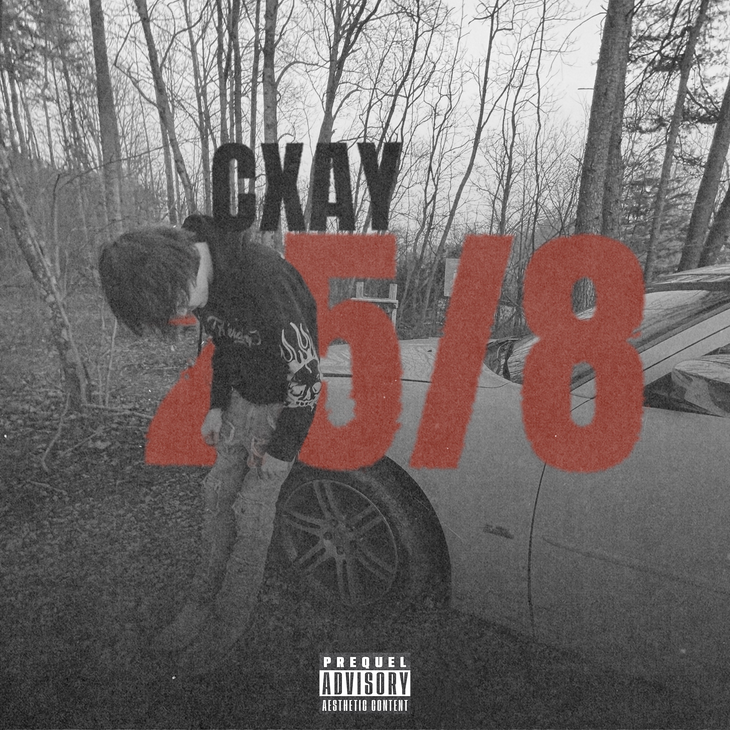 25/8 artwork