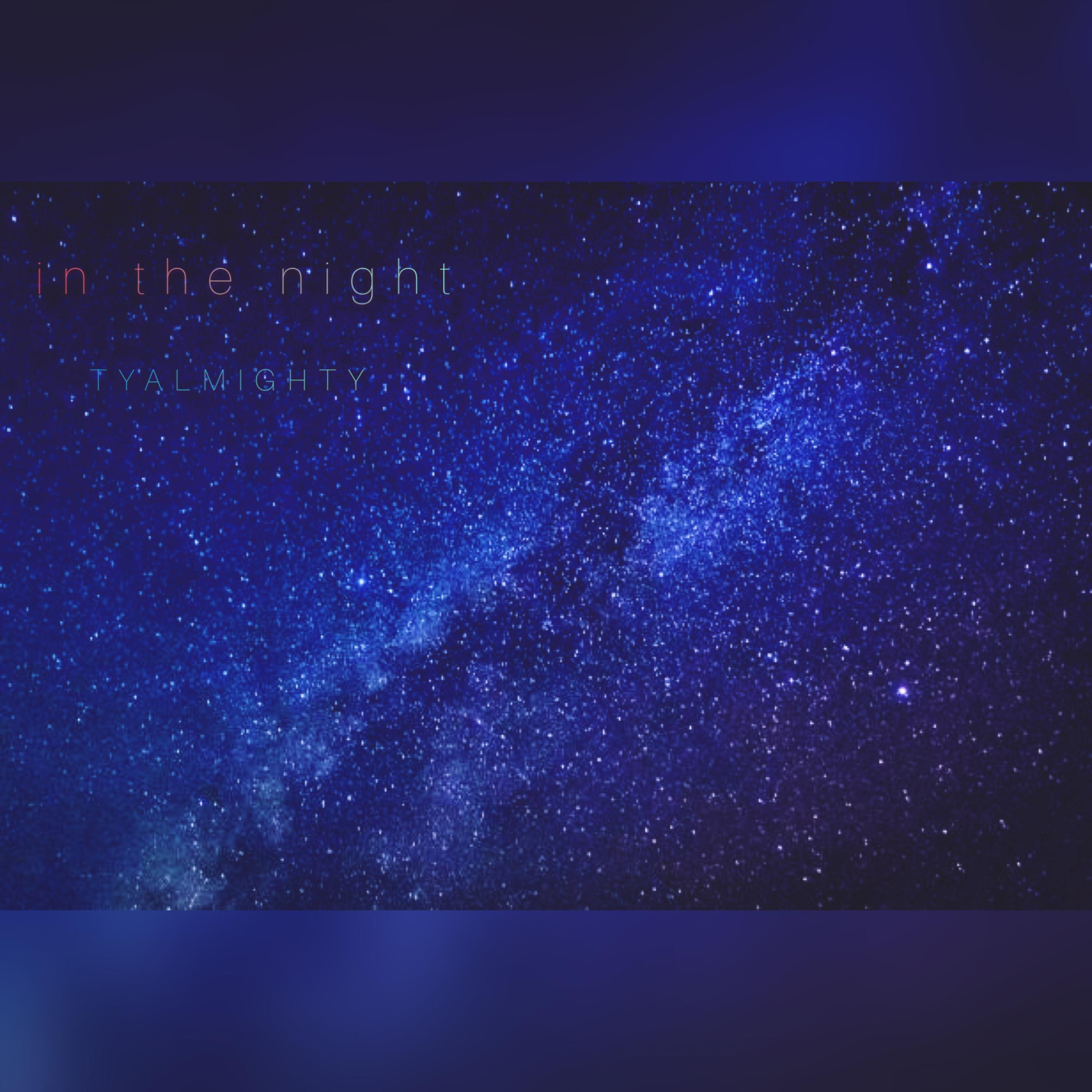 IN THE NIGHT artwork