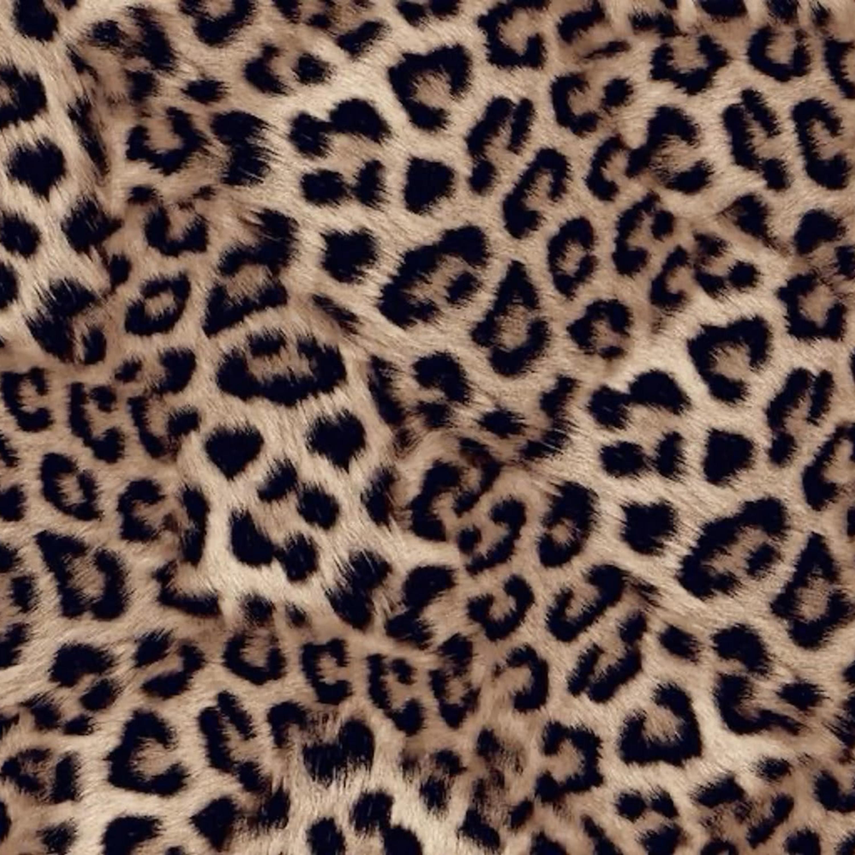 LEOPARDPRINT artwork