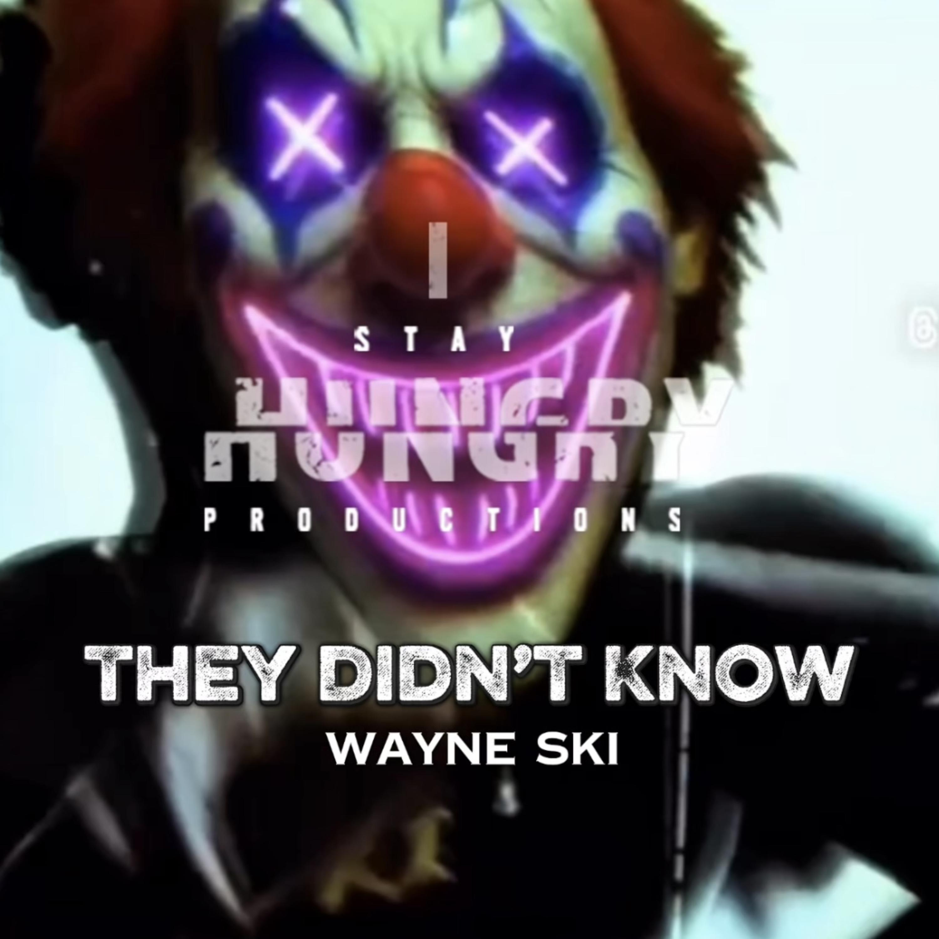 They Didn’t Know by Wayne SKI cover art