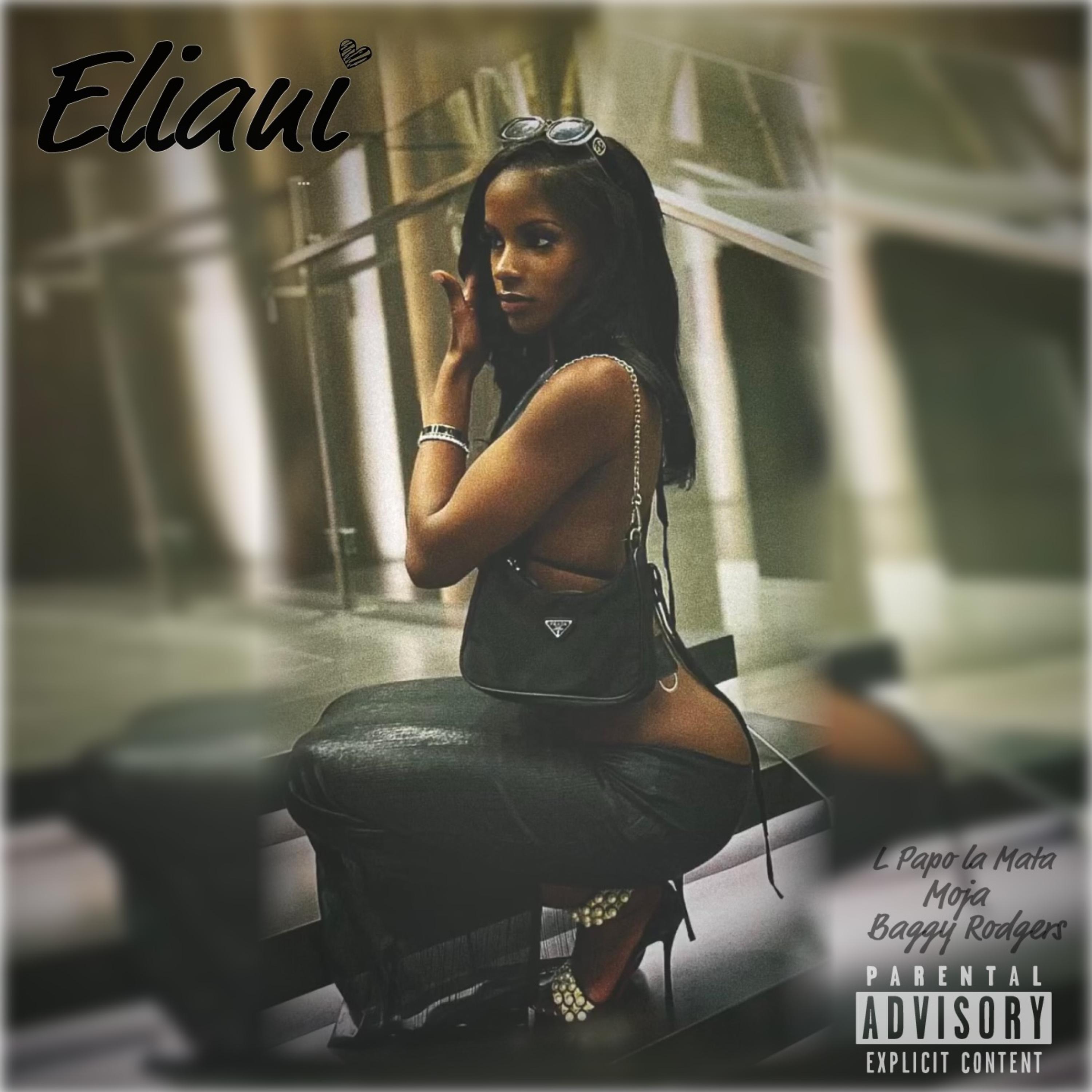 Eliani artwork