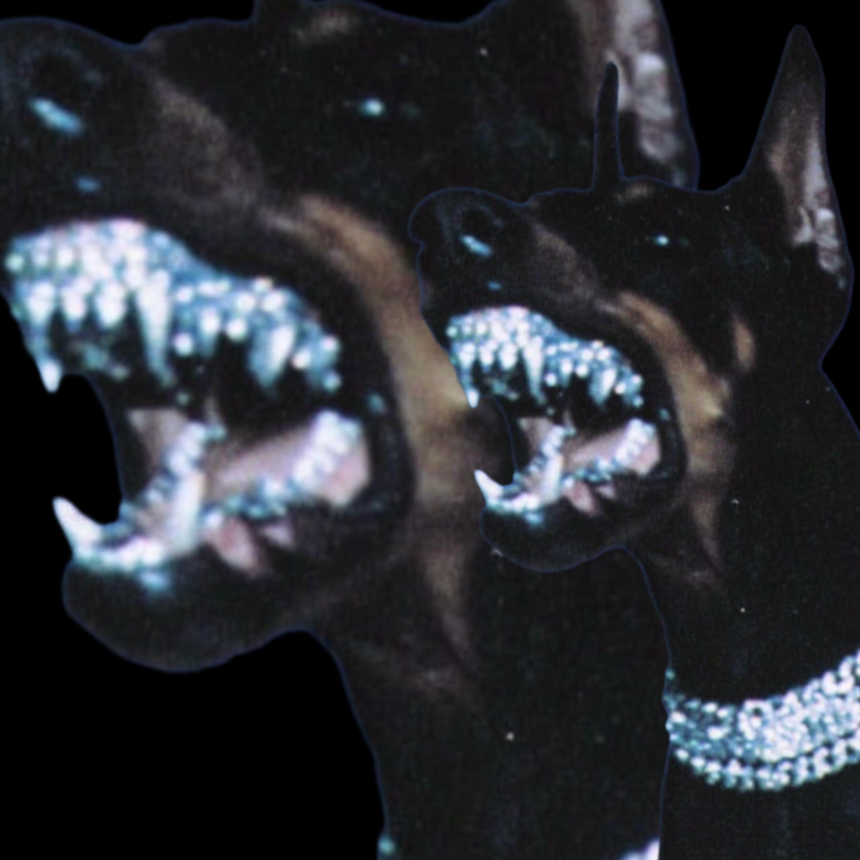 iDONT (DISCRIMINATE)(MASTERED) artwork