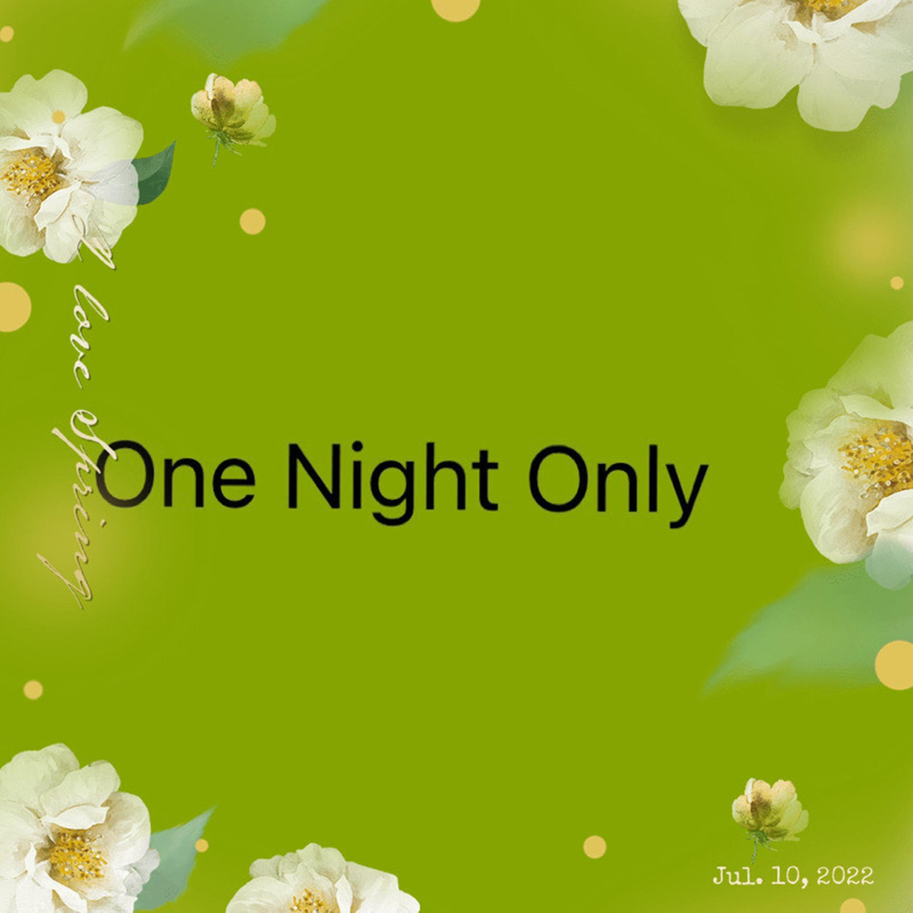 One Night Only artwork