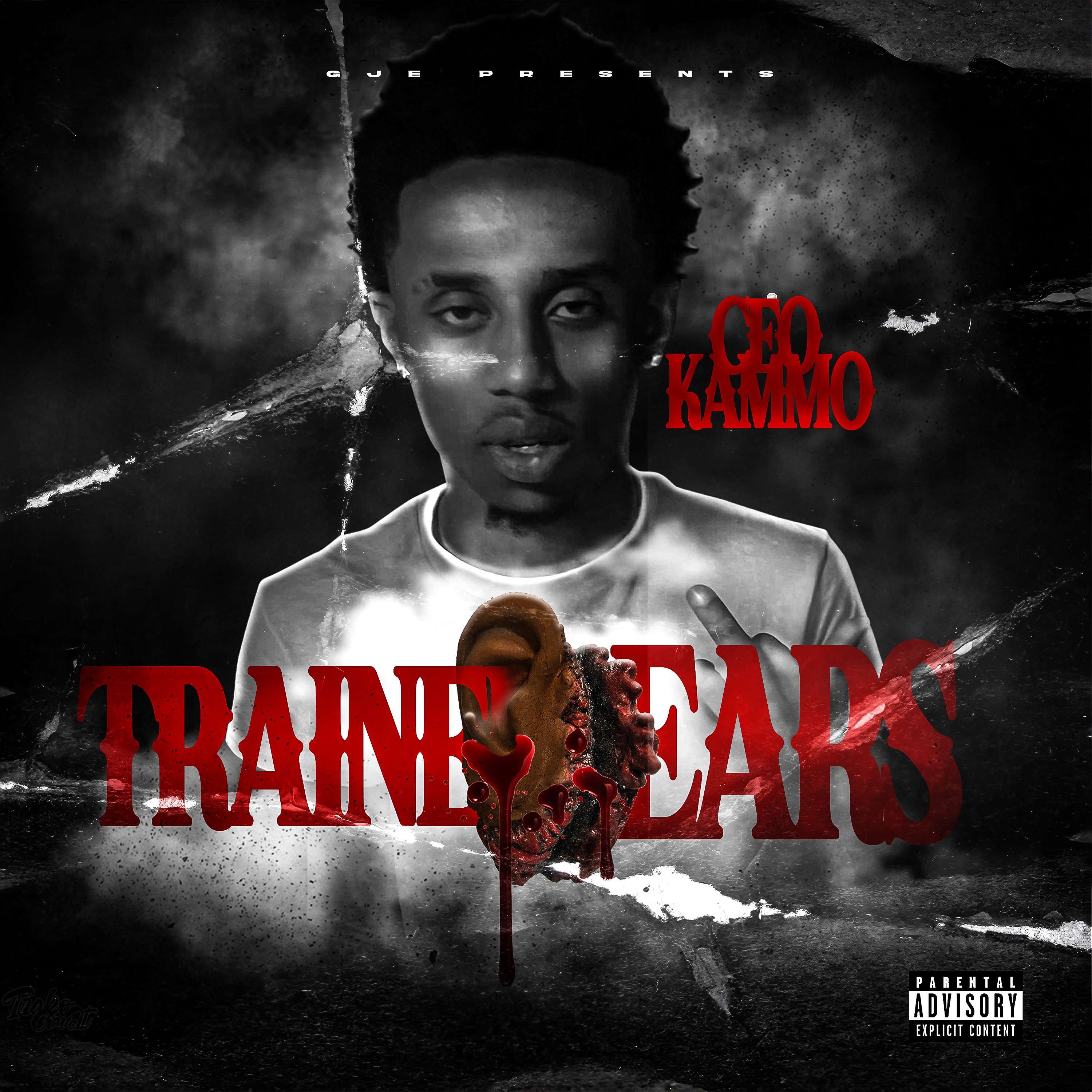 Trained Ears artwork