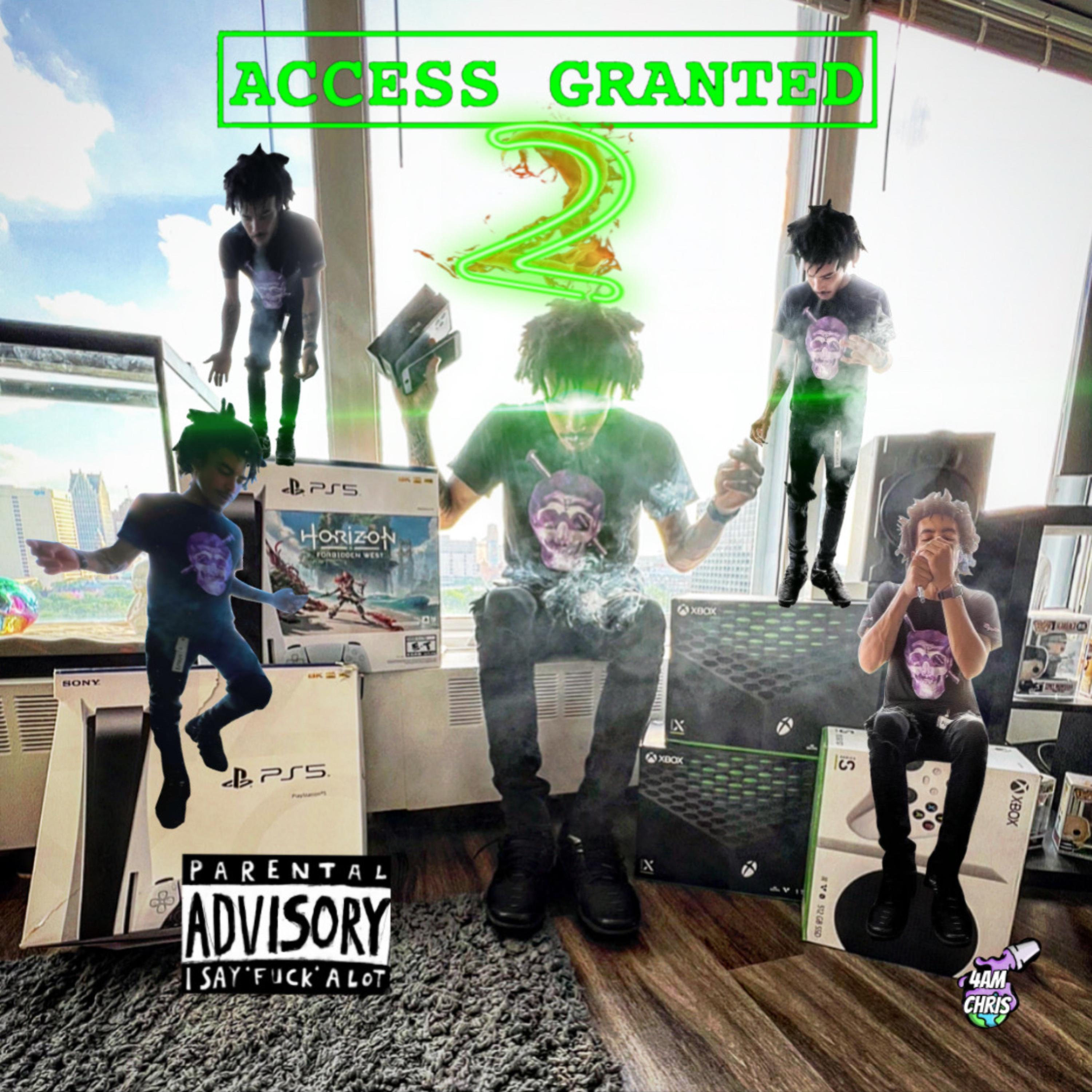 Access Granted 2 artwork