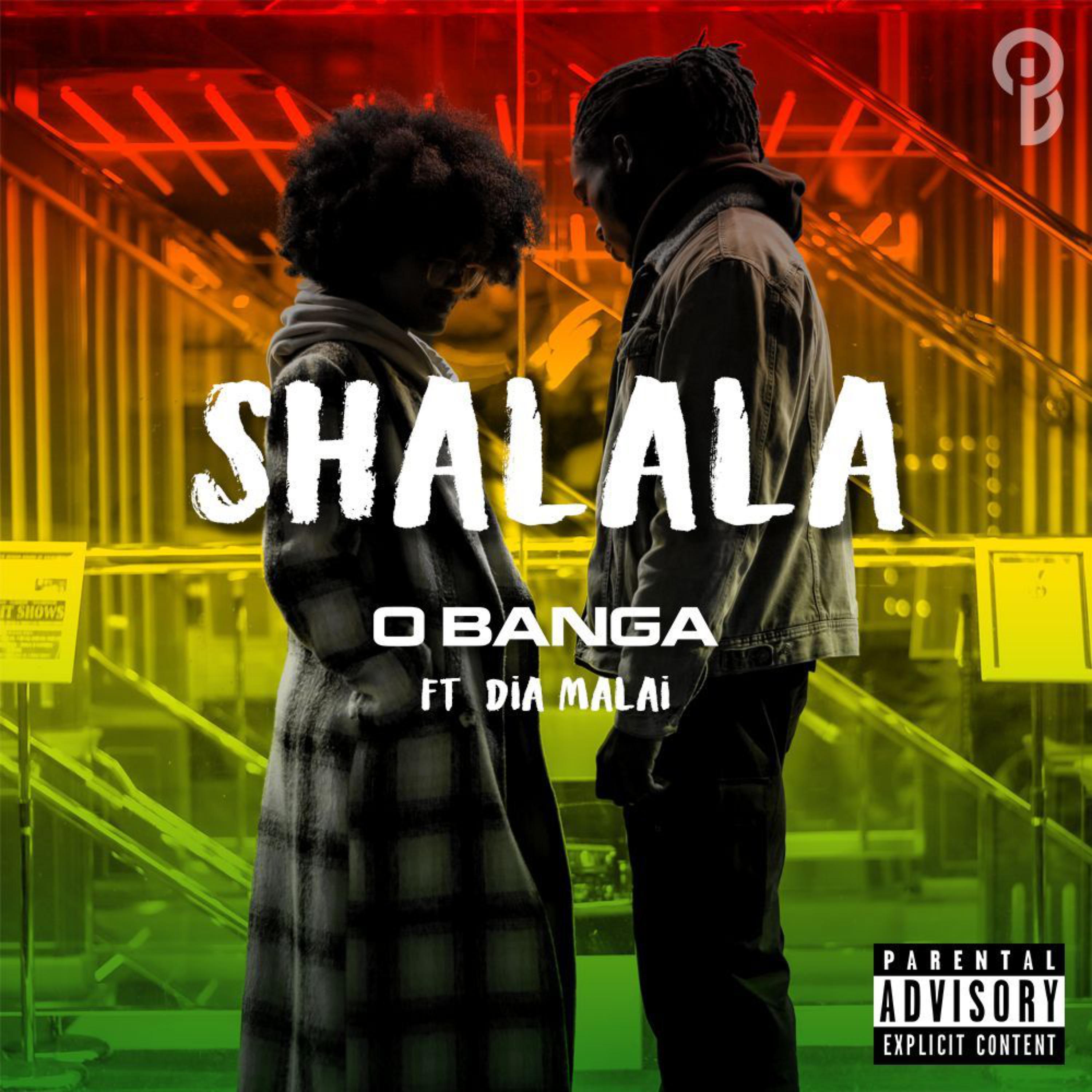 Shalala artwork