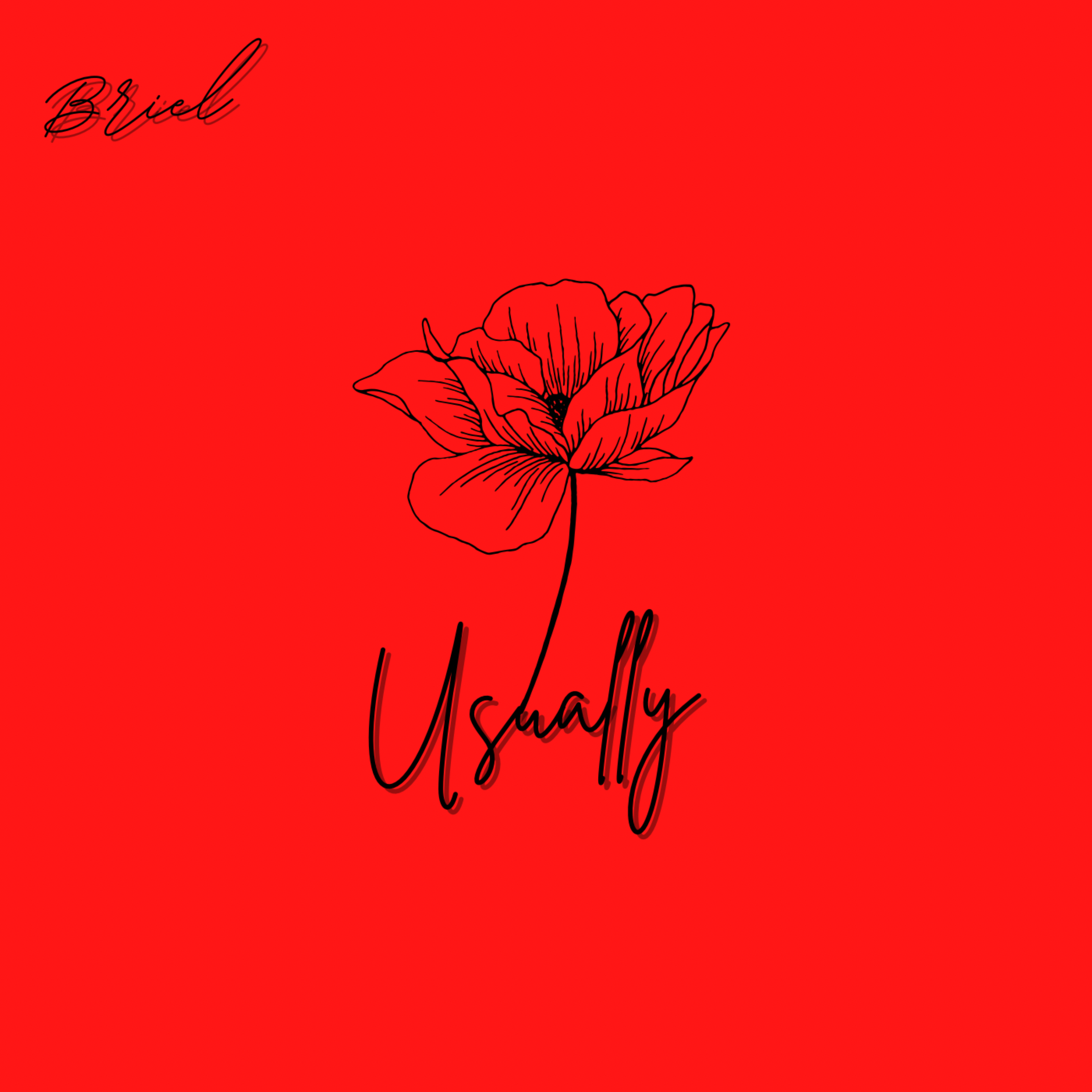 Usually artwork