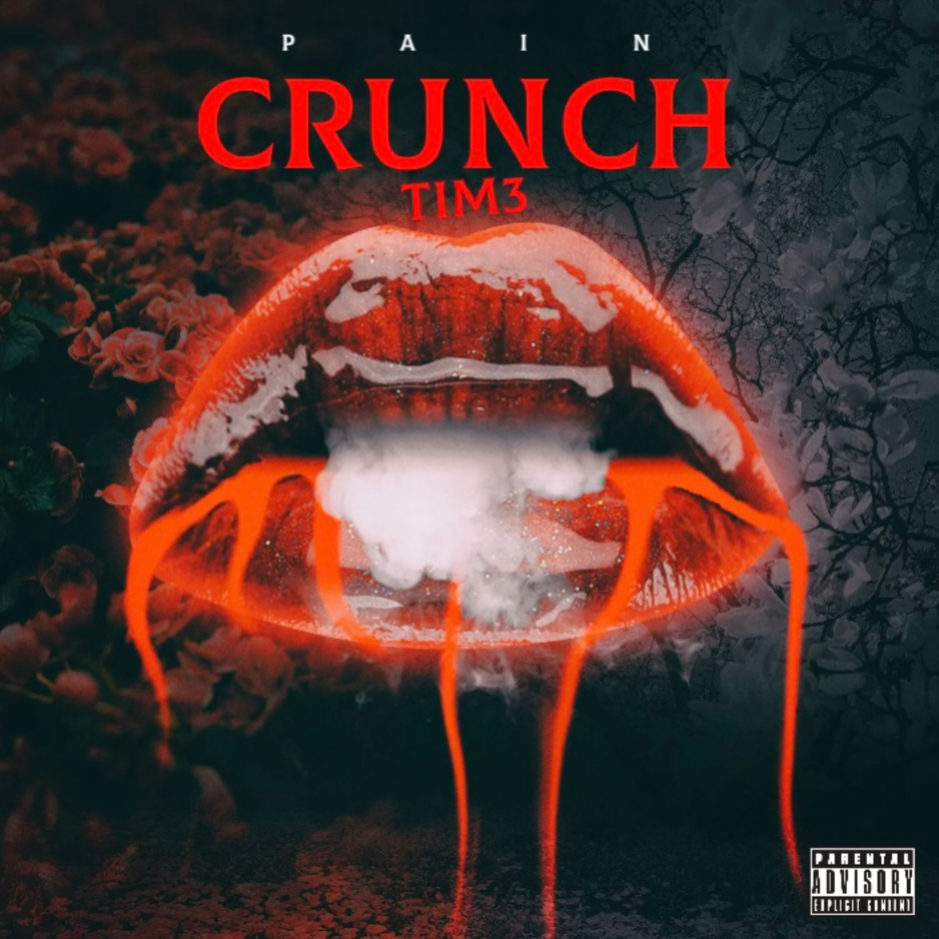 CRUNCH TIM3 artwork