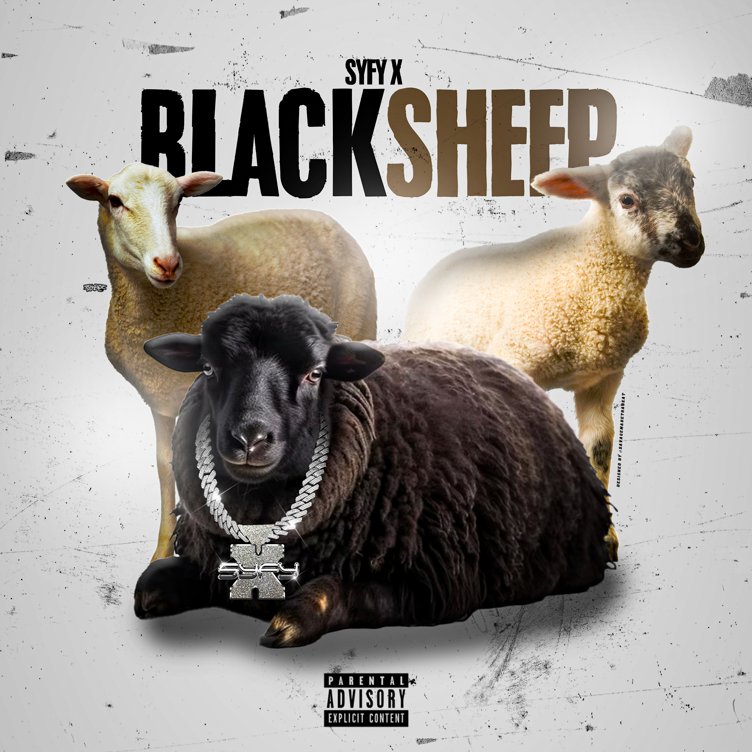 Black Sheep artwork