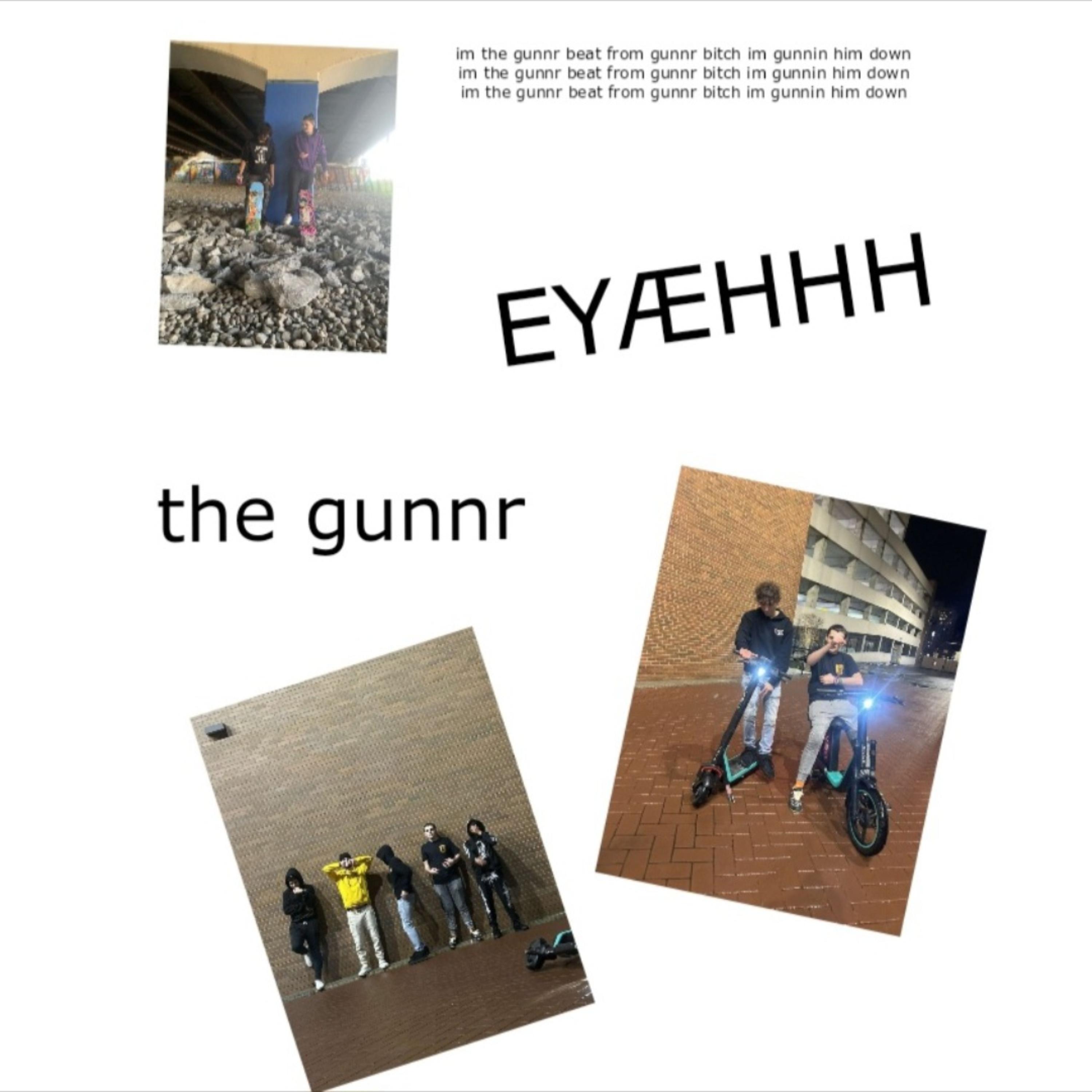 the gunnr artwork