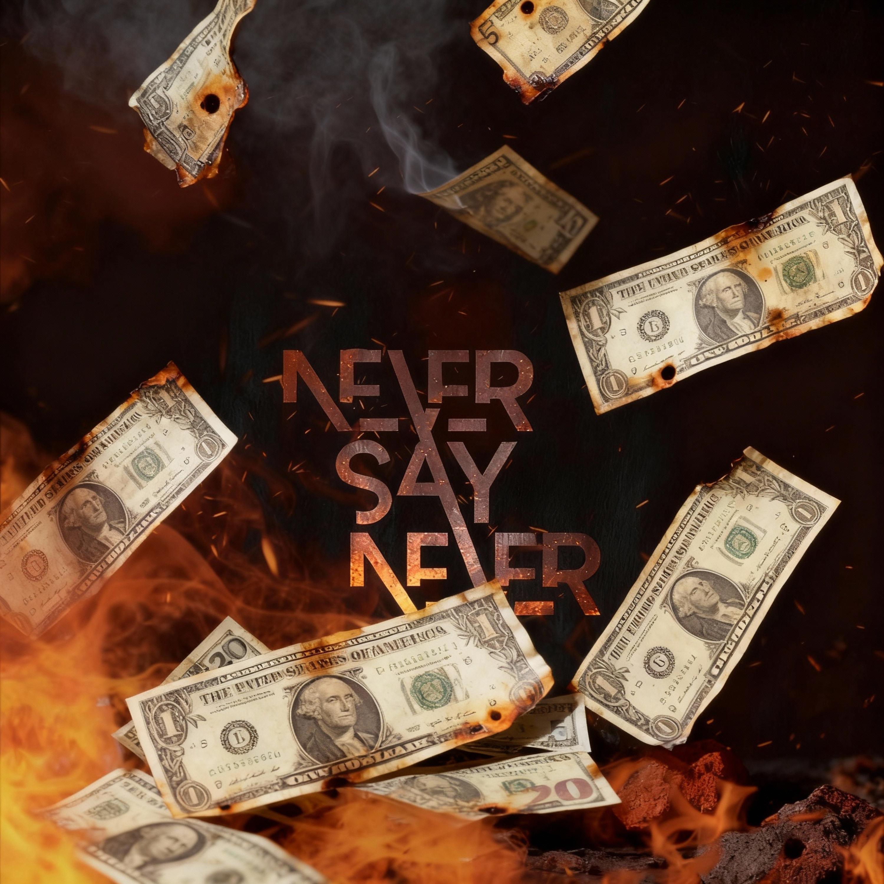 Never Say Never artwork