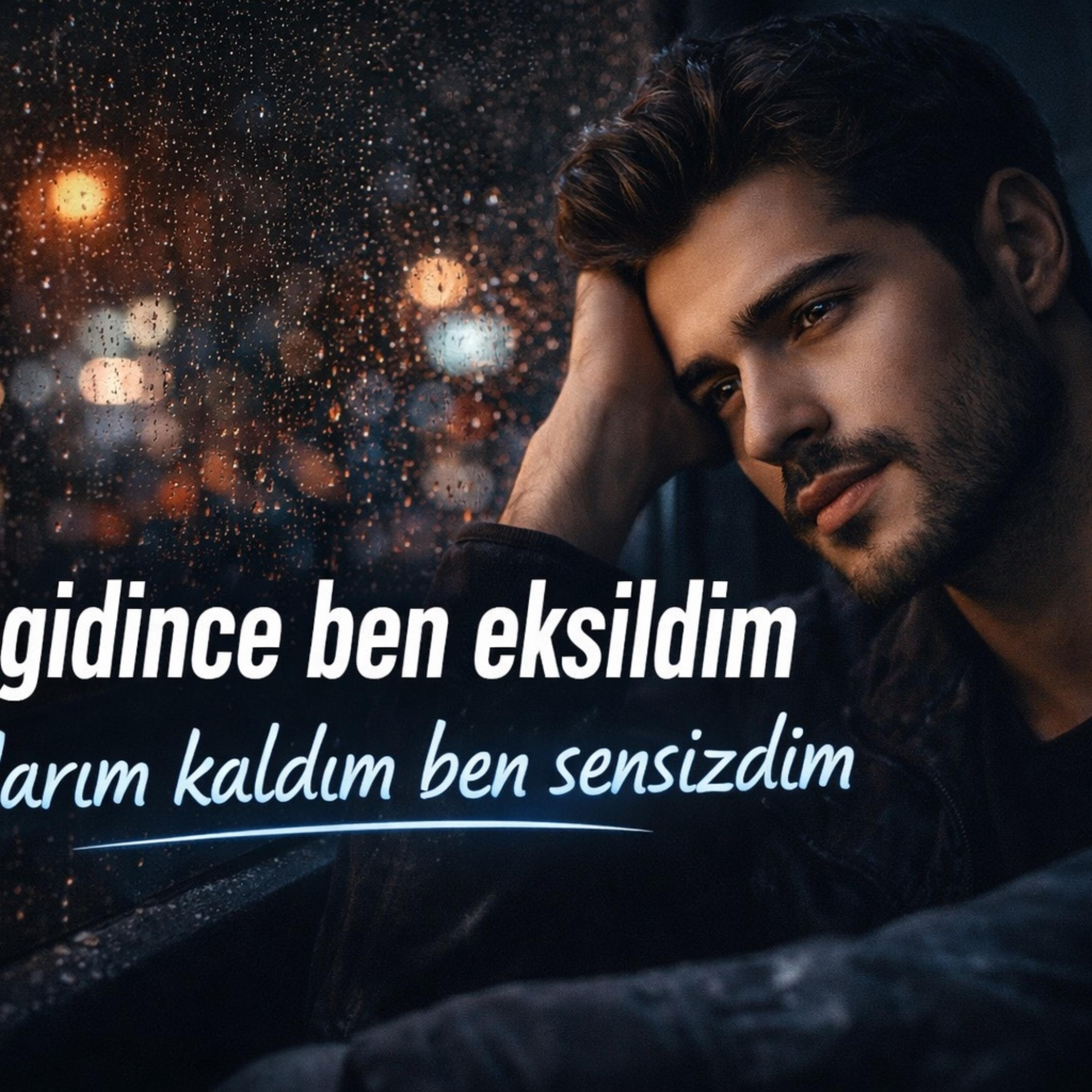 Sen Gidince Ben Eksildim artwork