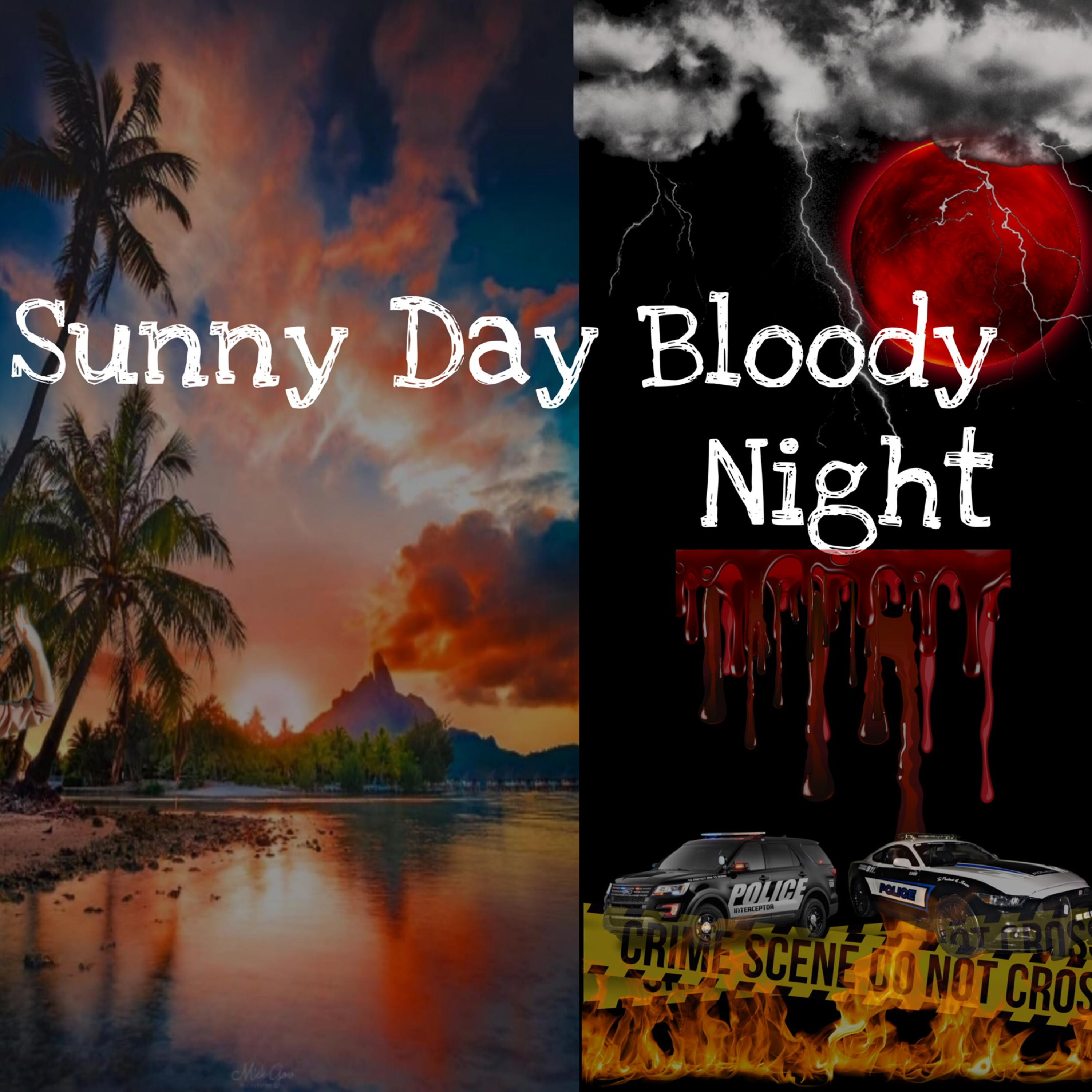 Sunny Day Bloody Night by DracoGG cover art