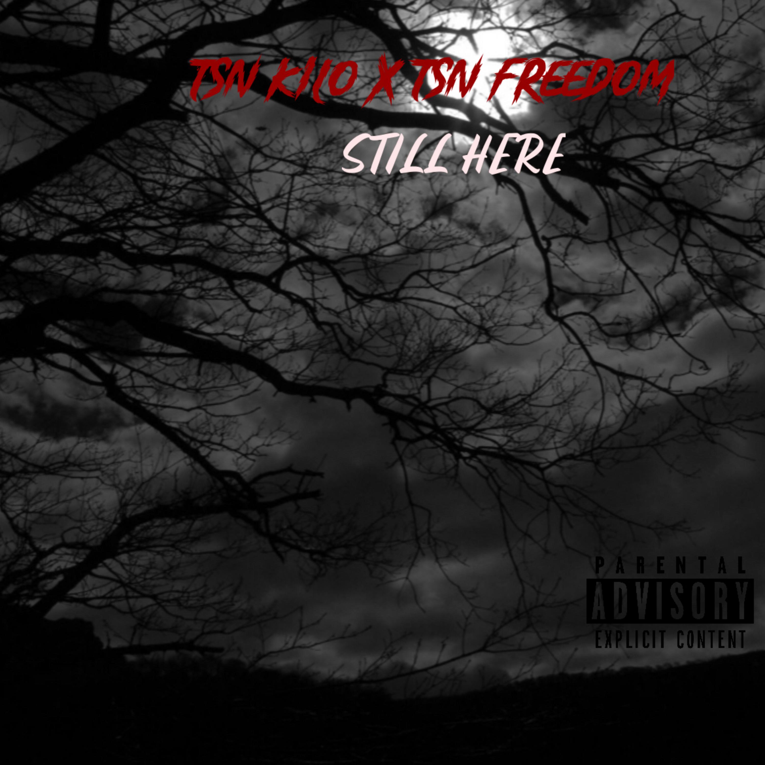 Still Here by Tsn Kilo cover art
