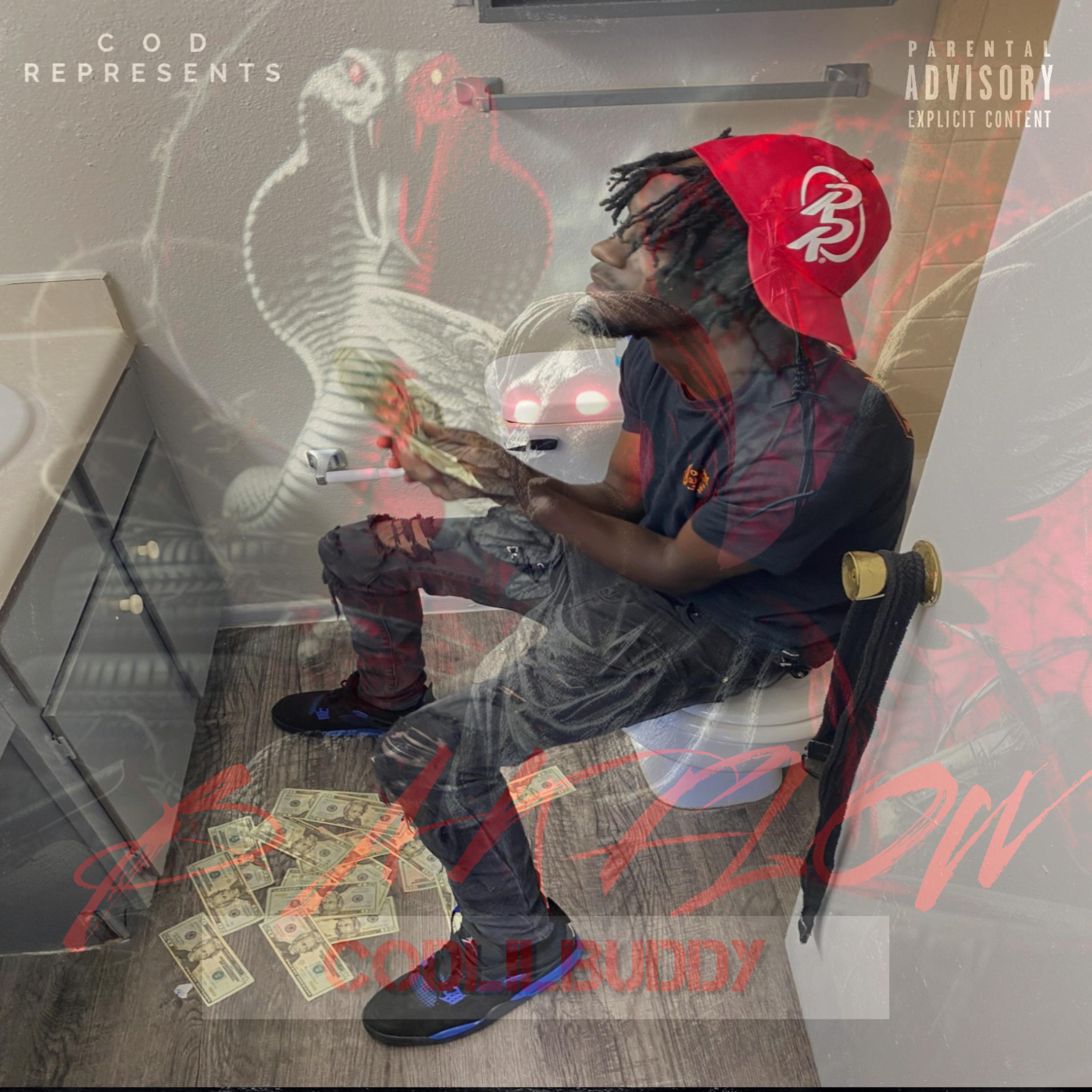 B A K FLOW artwork