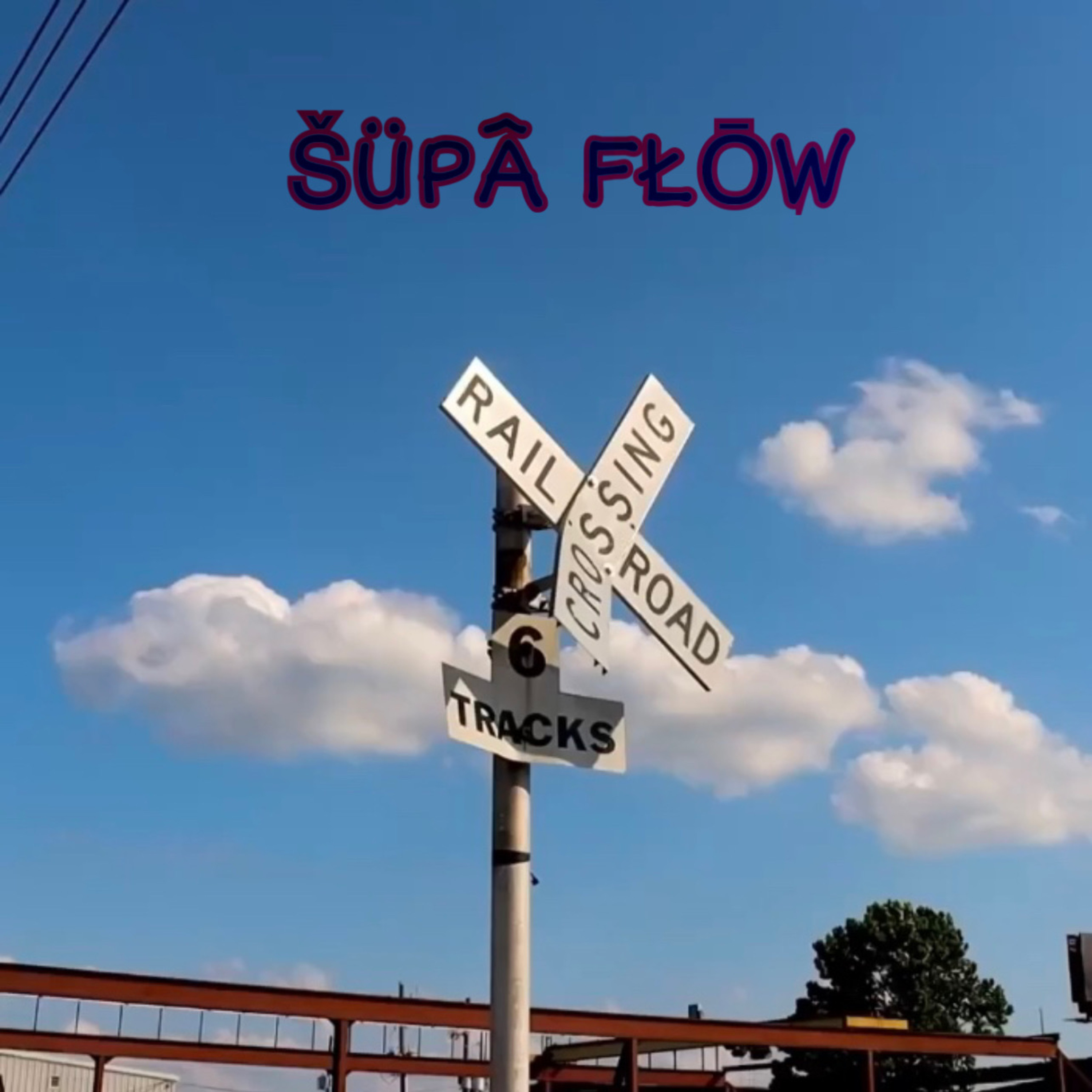 ŠÜPÂ FŁŌW (RELOADED) artwork