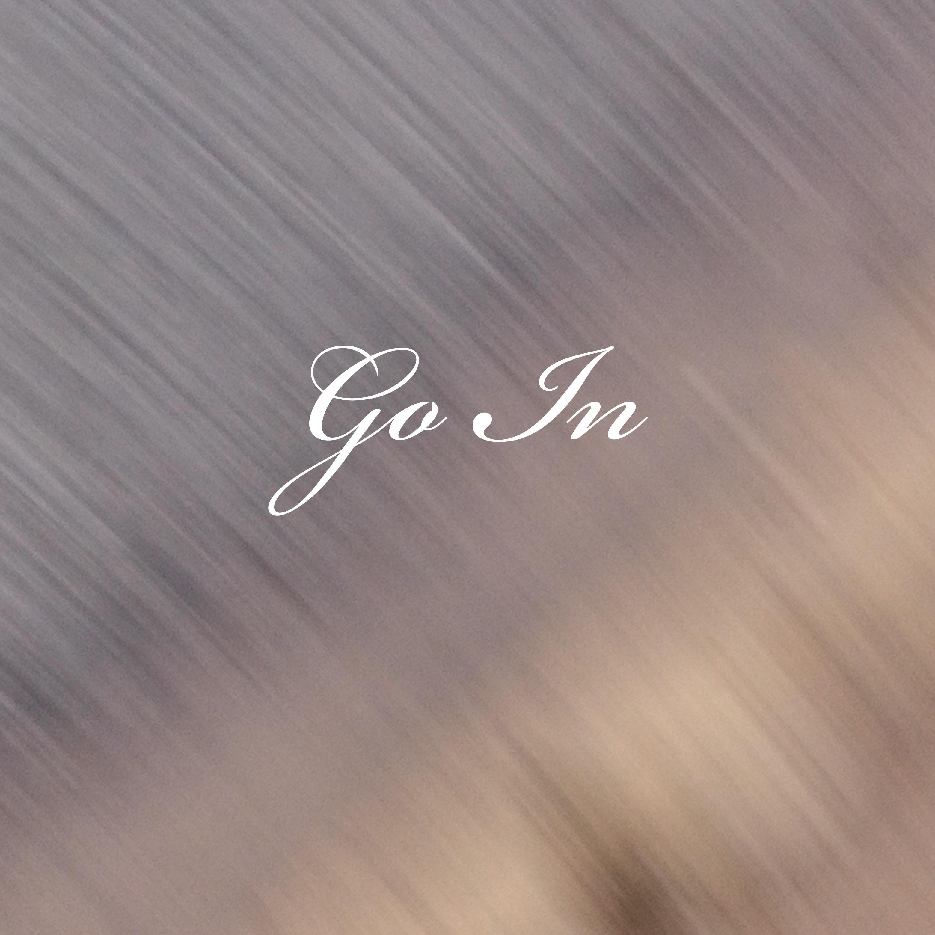 Go In artwork
