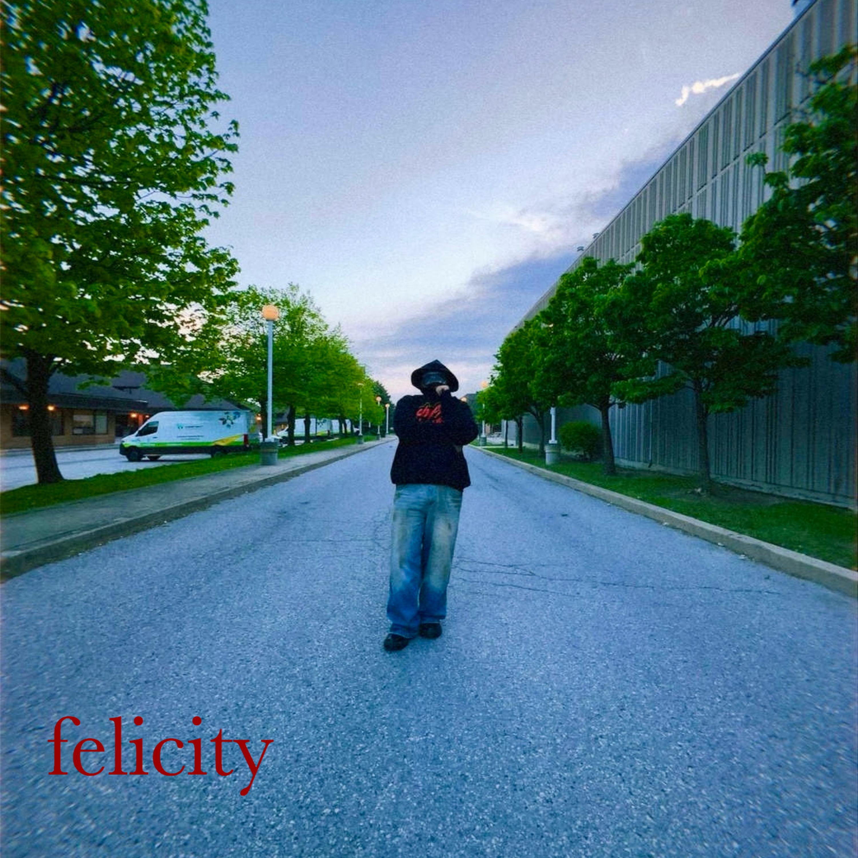 felicity artwork