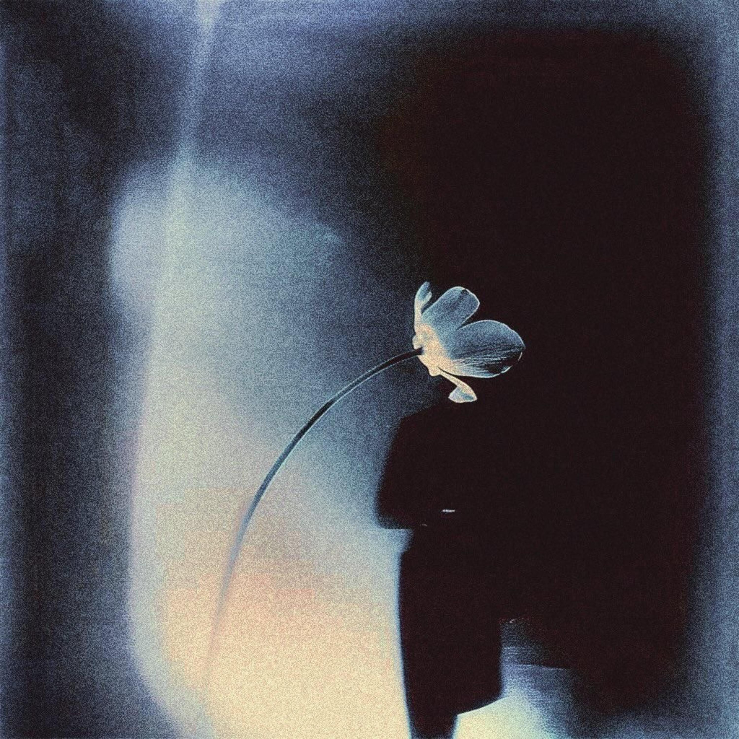 Never Ran artwork
