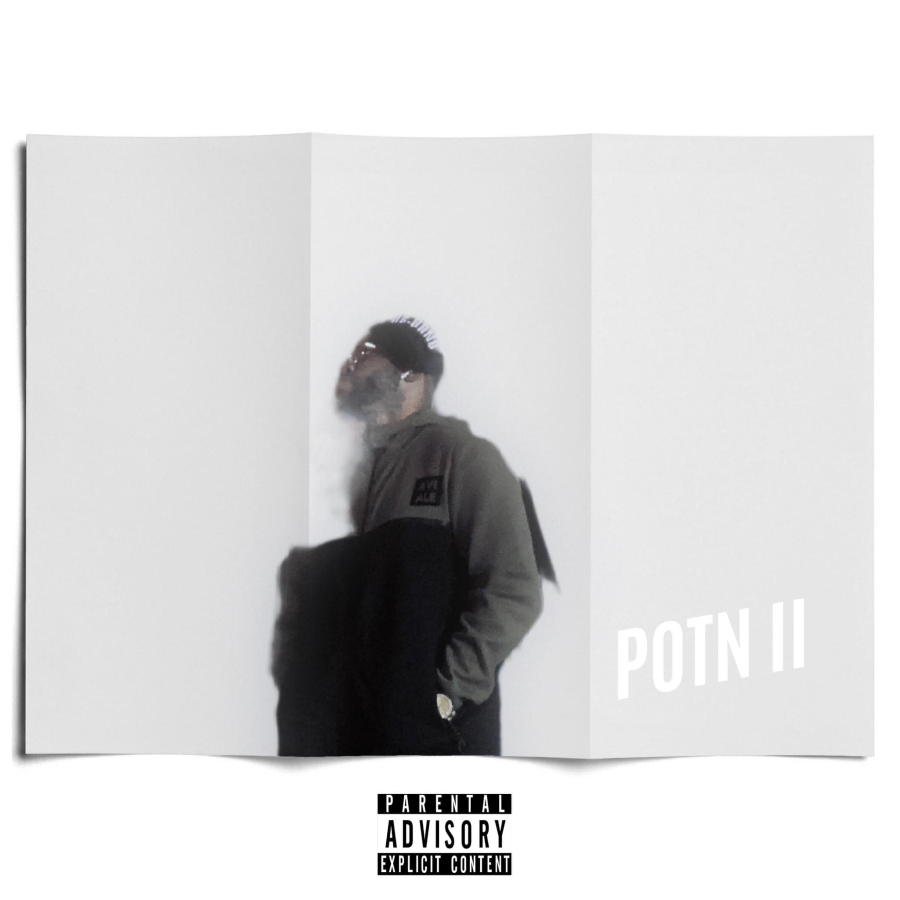 POTN II artwork