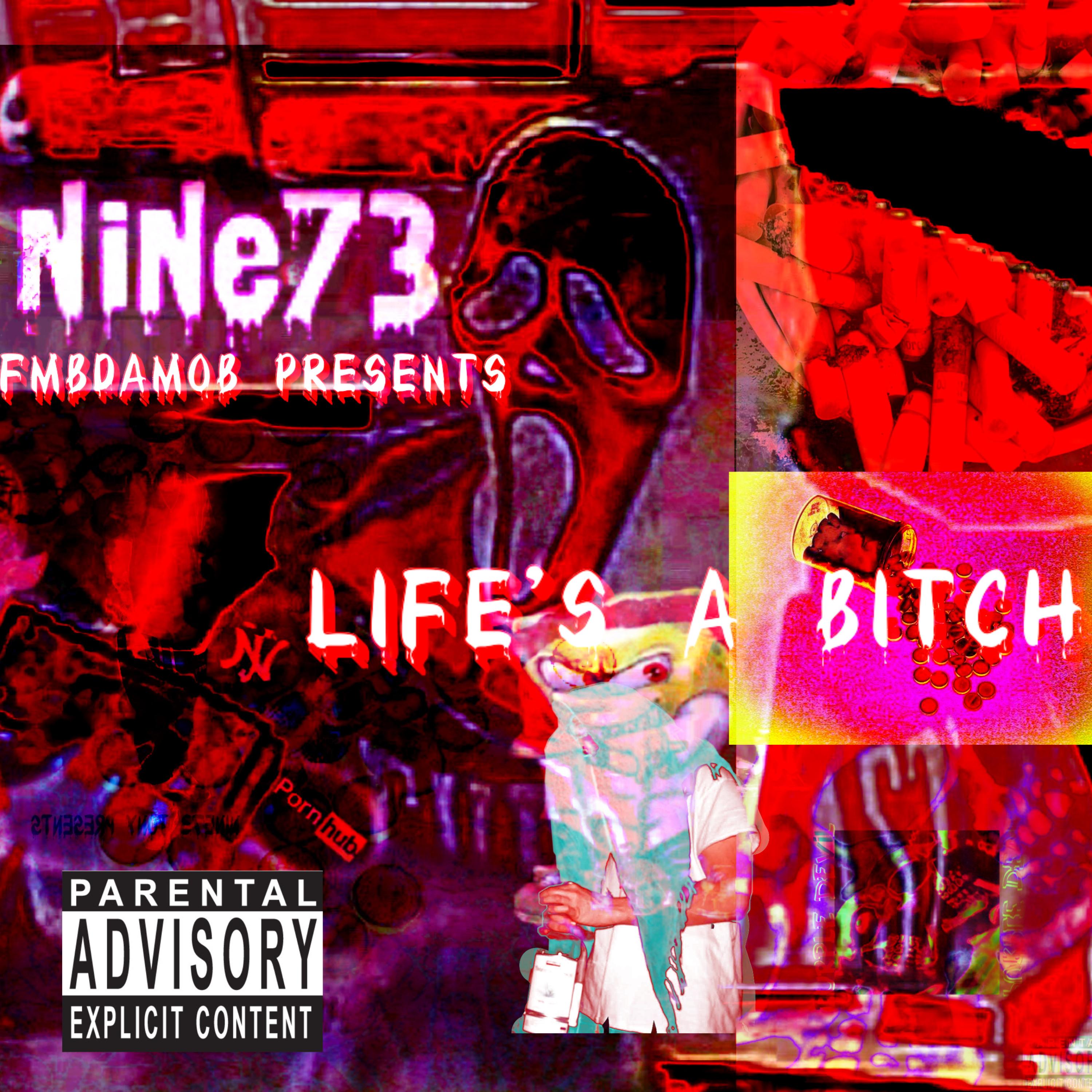 LIFE’s a BITCH, TOO THE MIXTAPE artwork