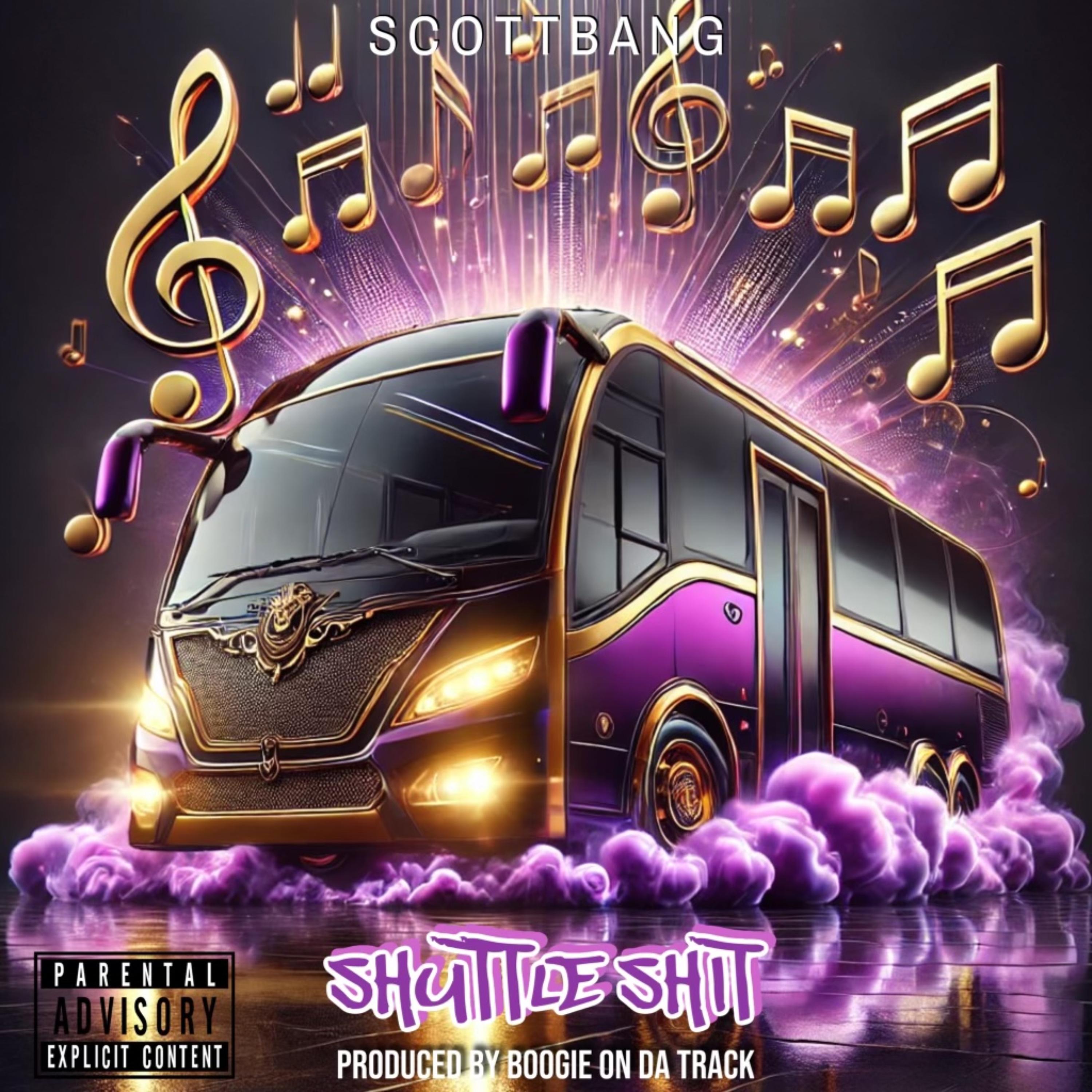 SHUTTLE SHIT artwork