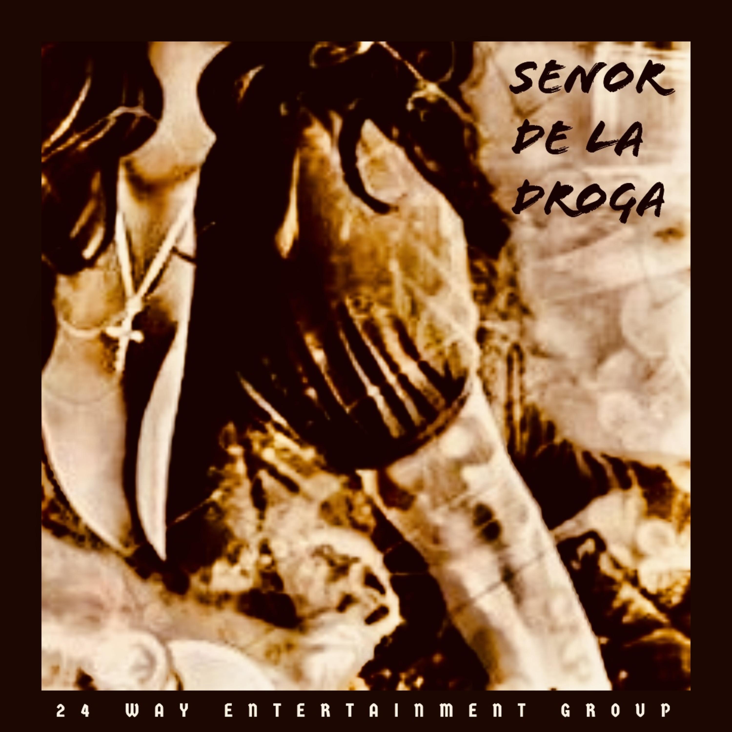 Senor De La Droga artwork