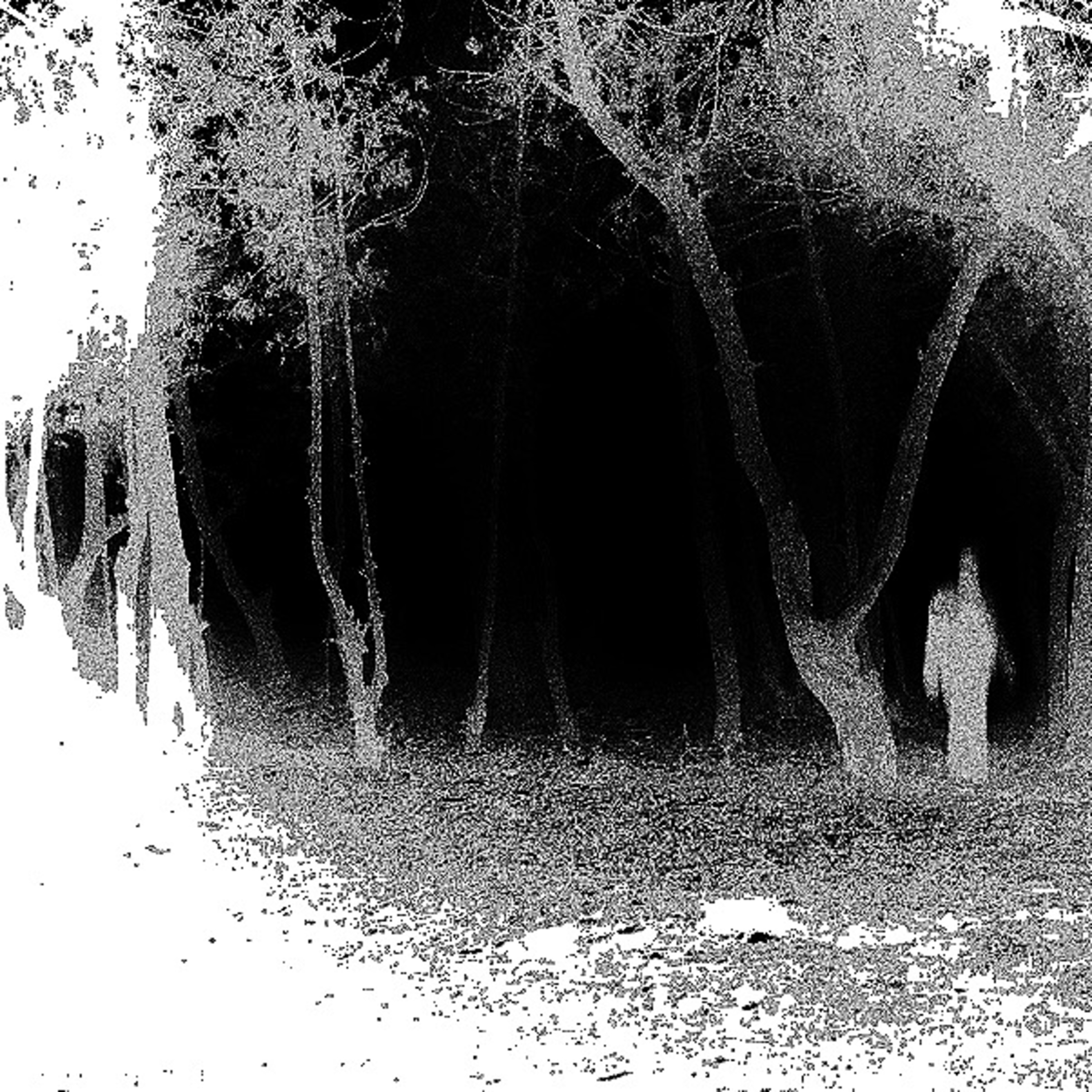 ABANDONED artwork