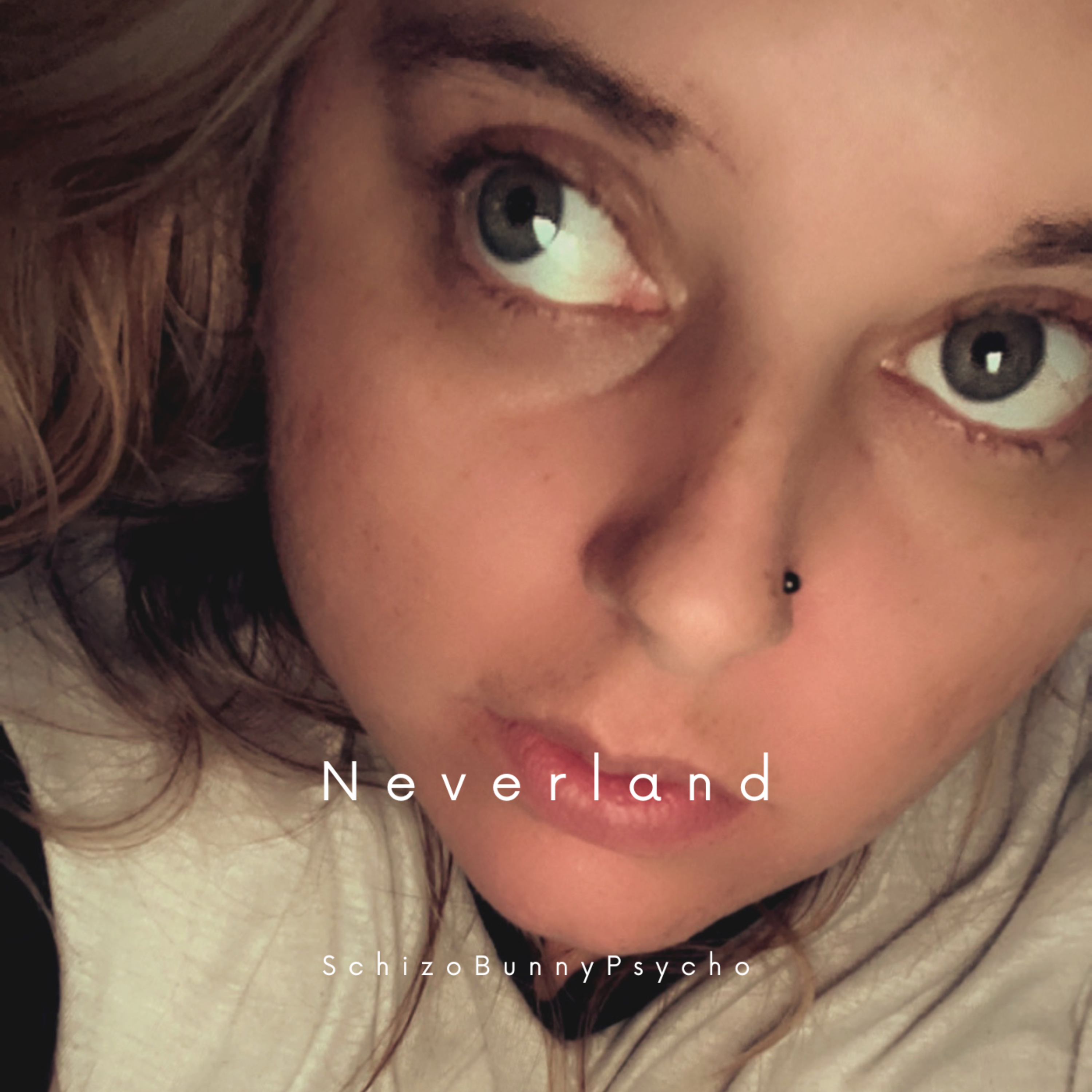 Neverland artwork