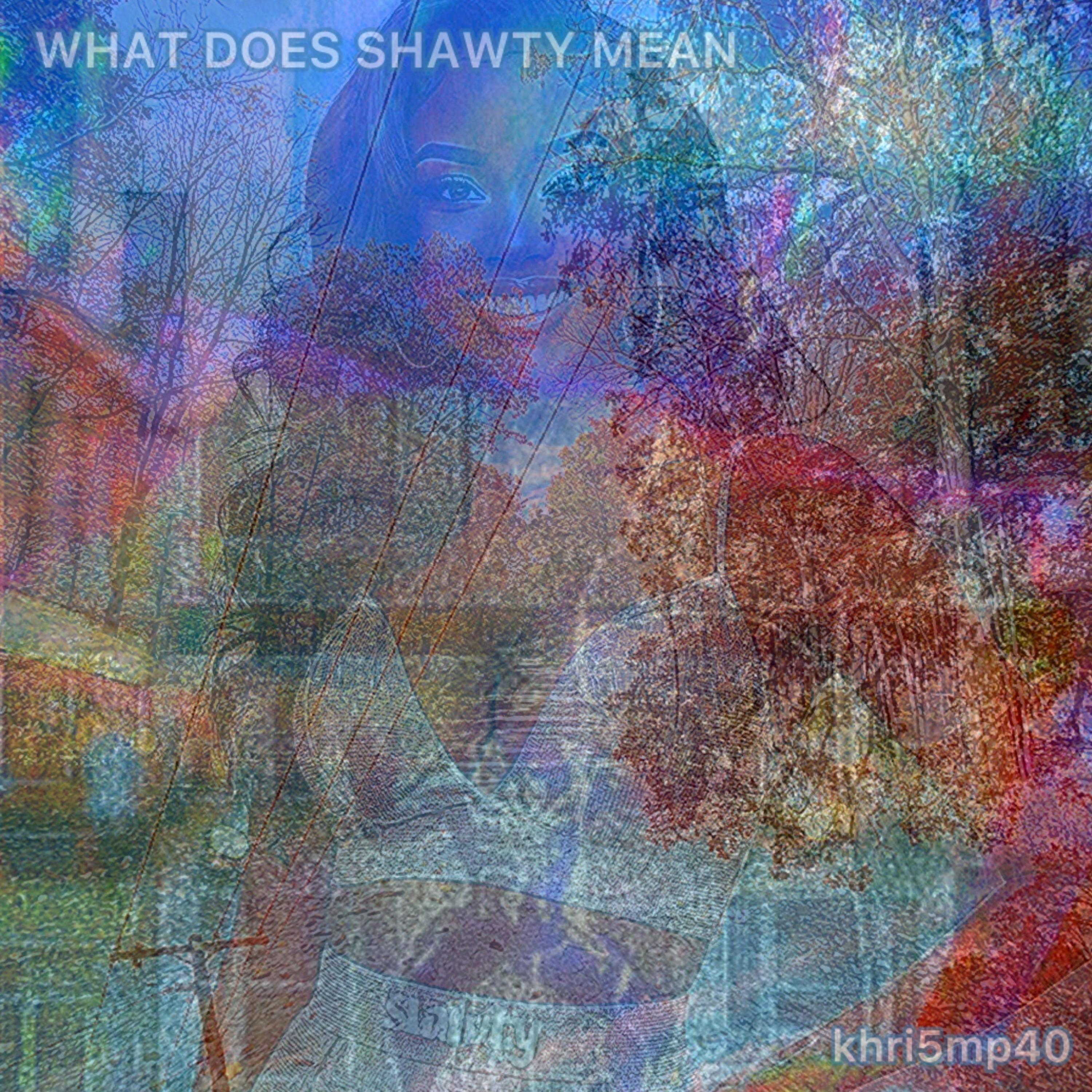 WHAT DOES SHAWTY MEAN artwork