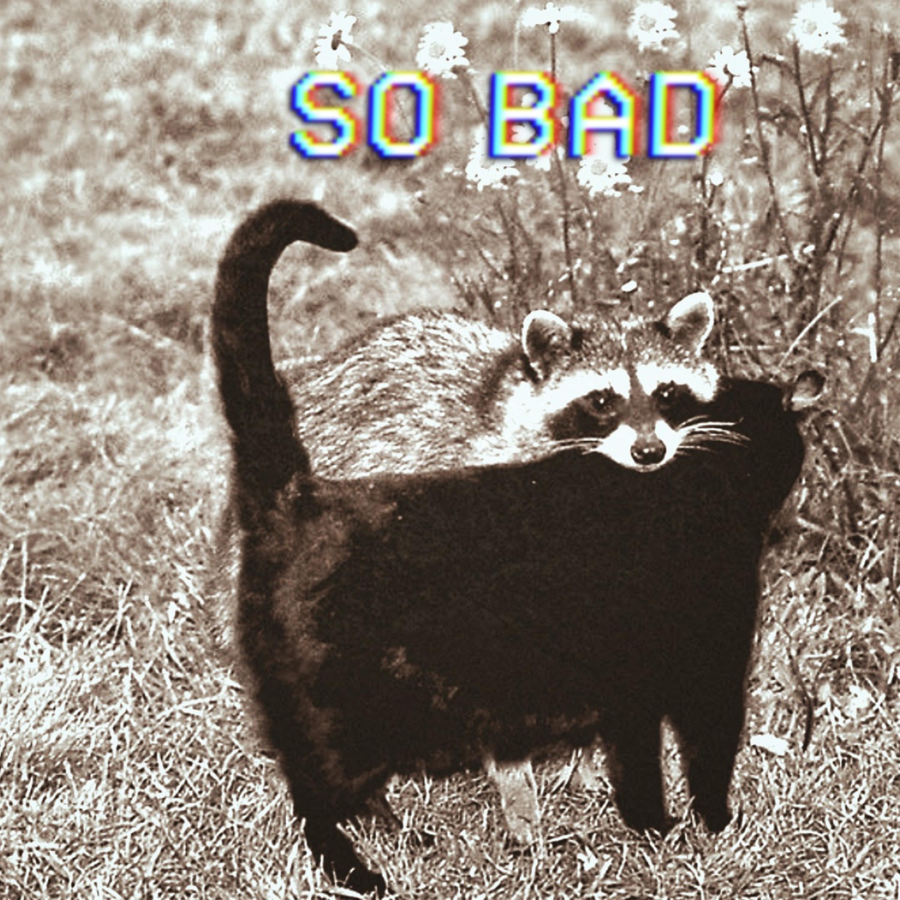 So Bad artwork
